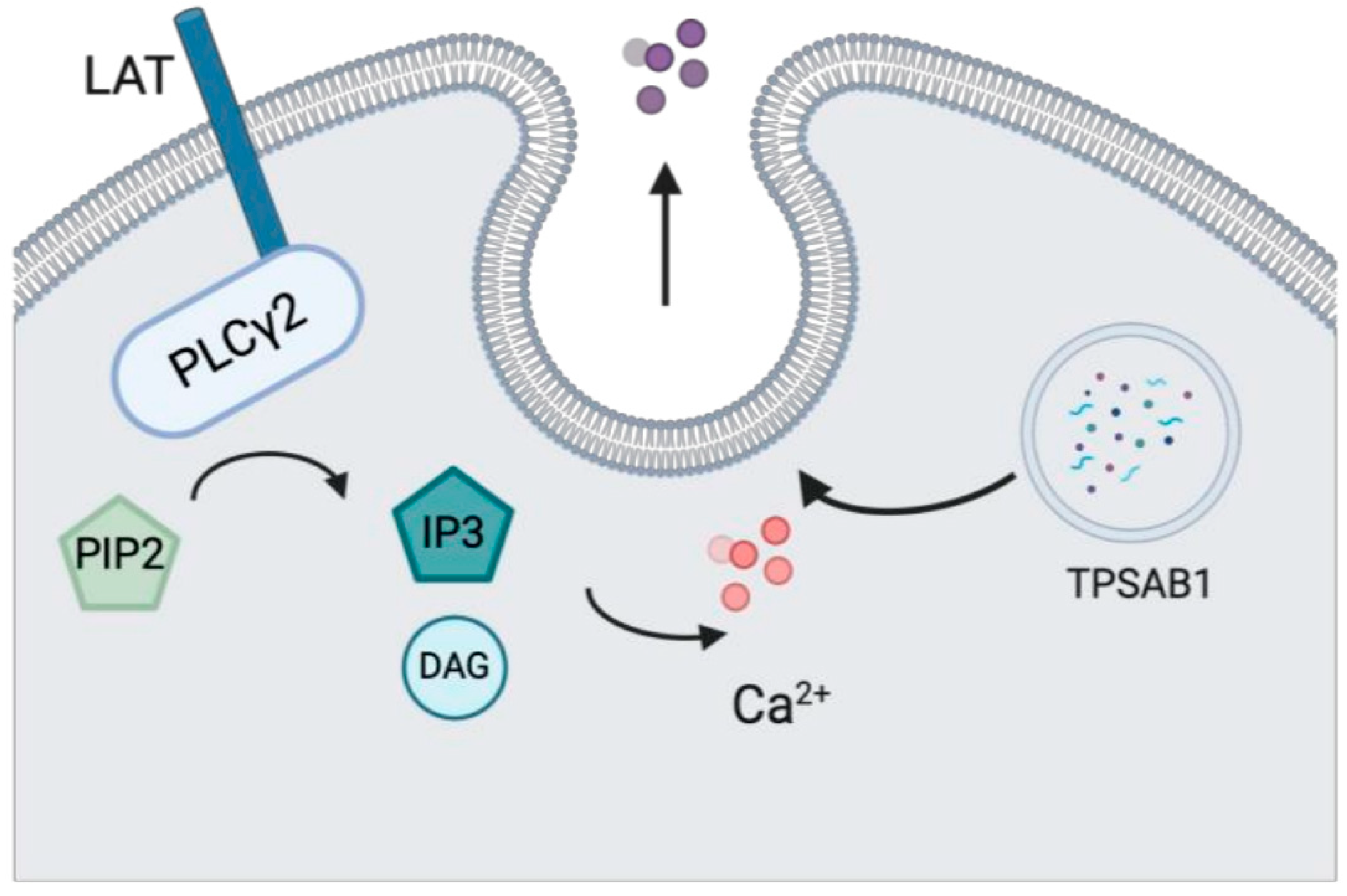 Medicina 61 00062 g005