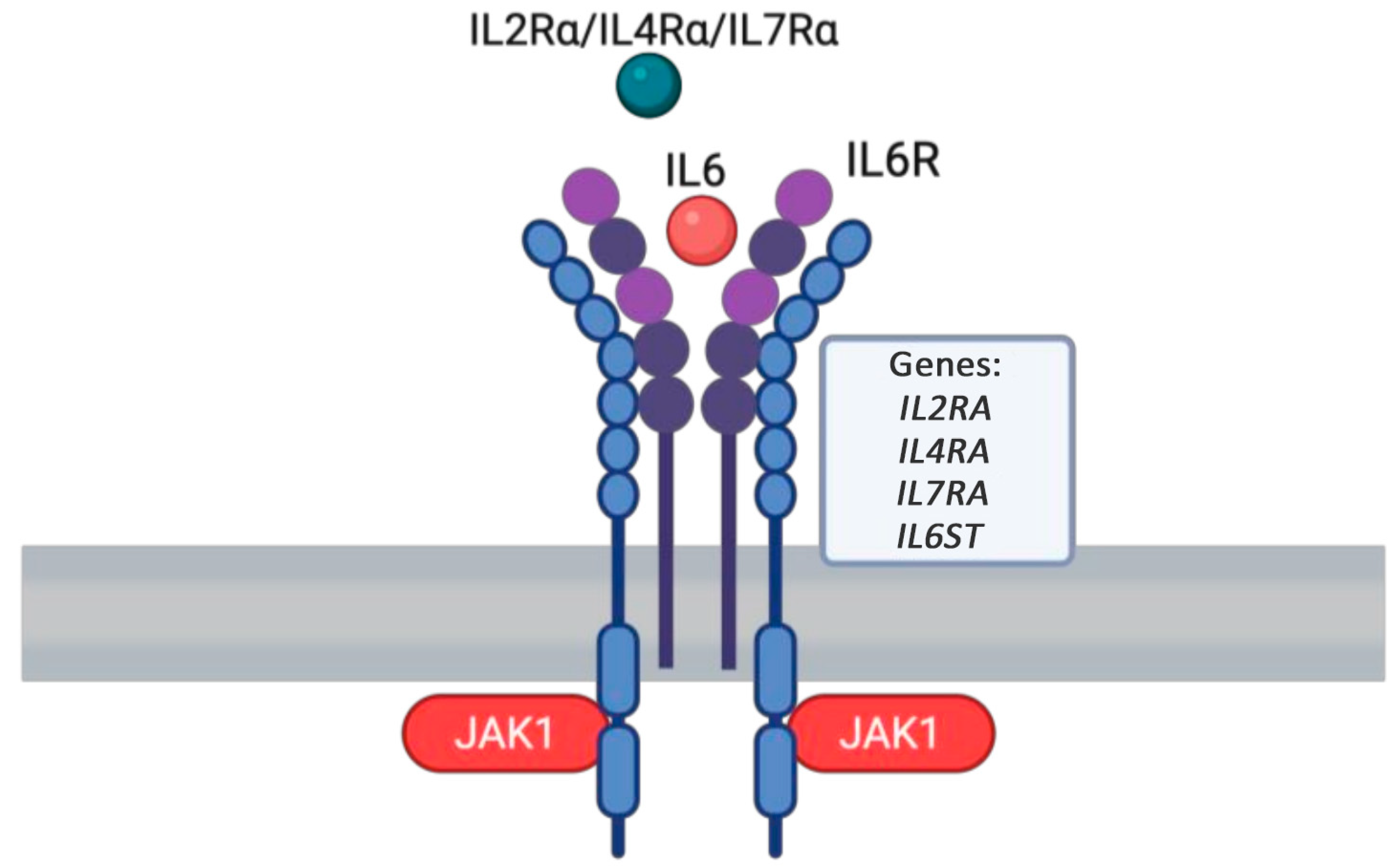 Medicina 61 00062 g006