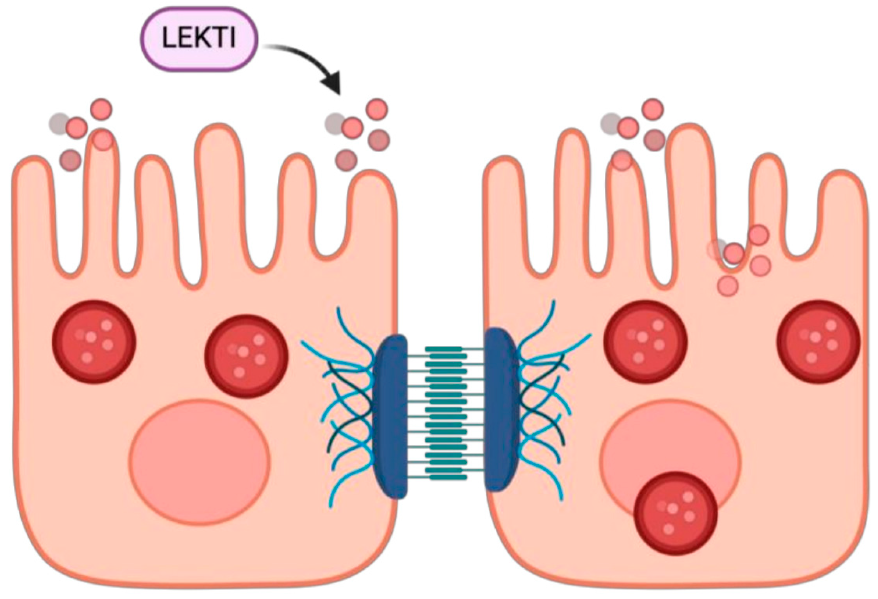 Medicina 61 00062 g007