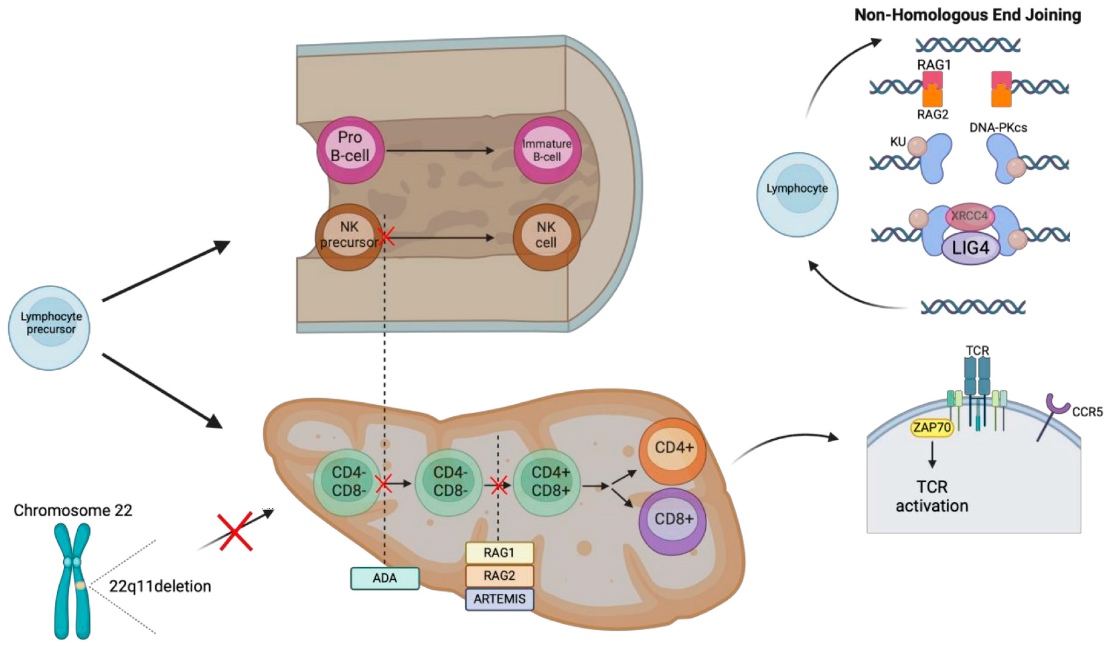 Medicina 61 00062 g008