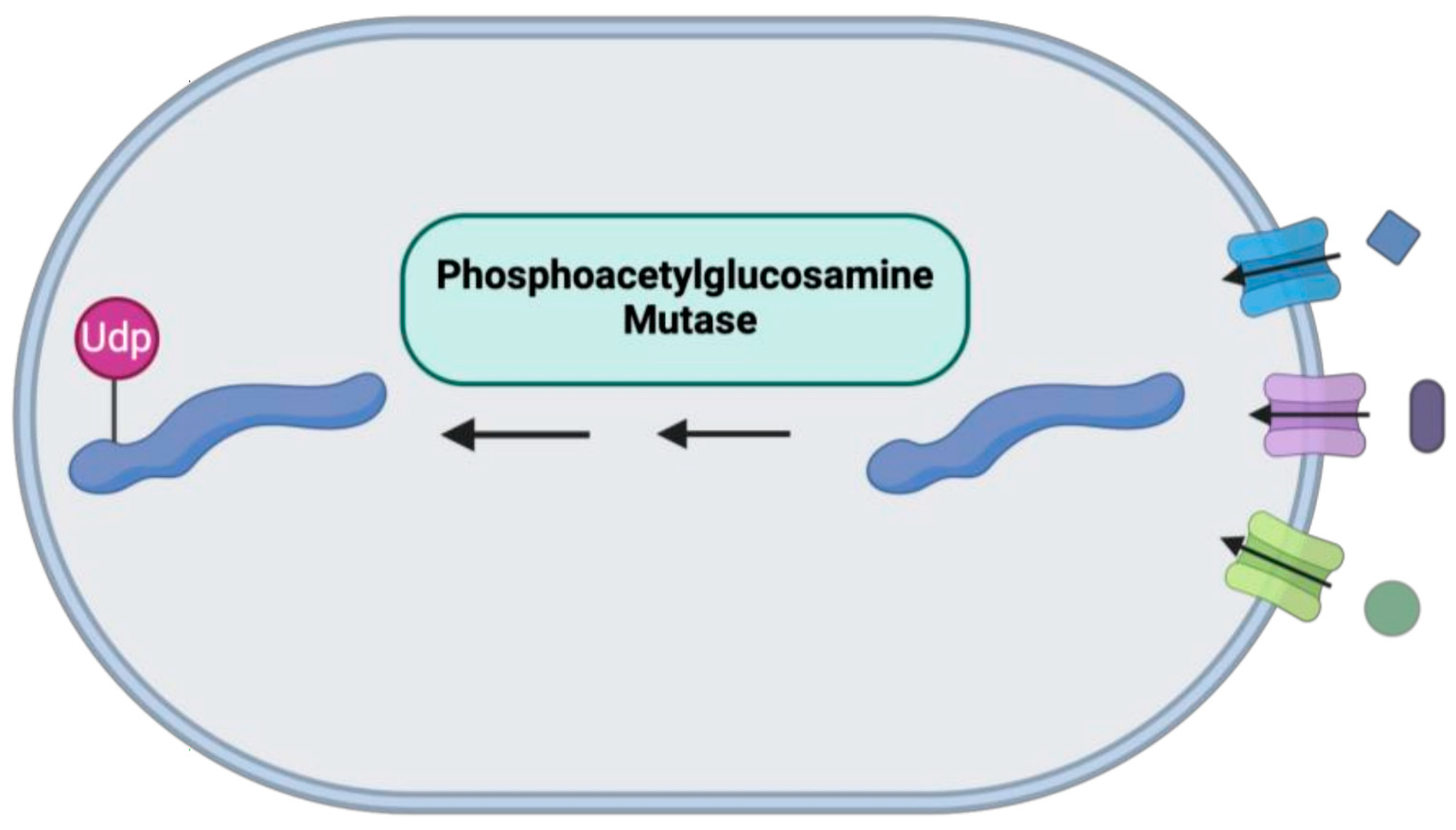Medicina 61 00062 g010