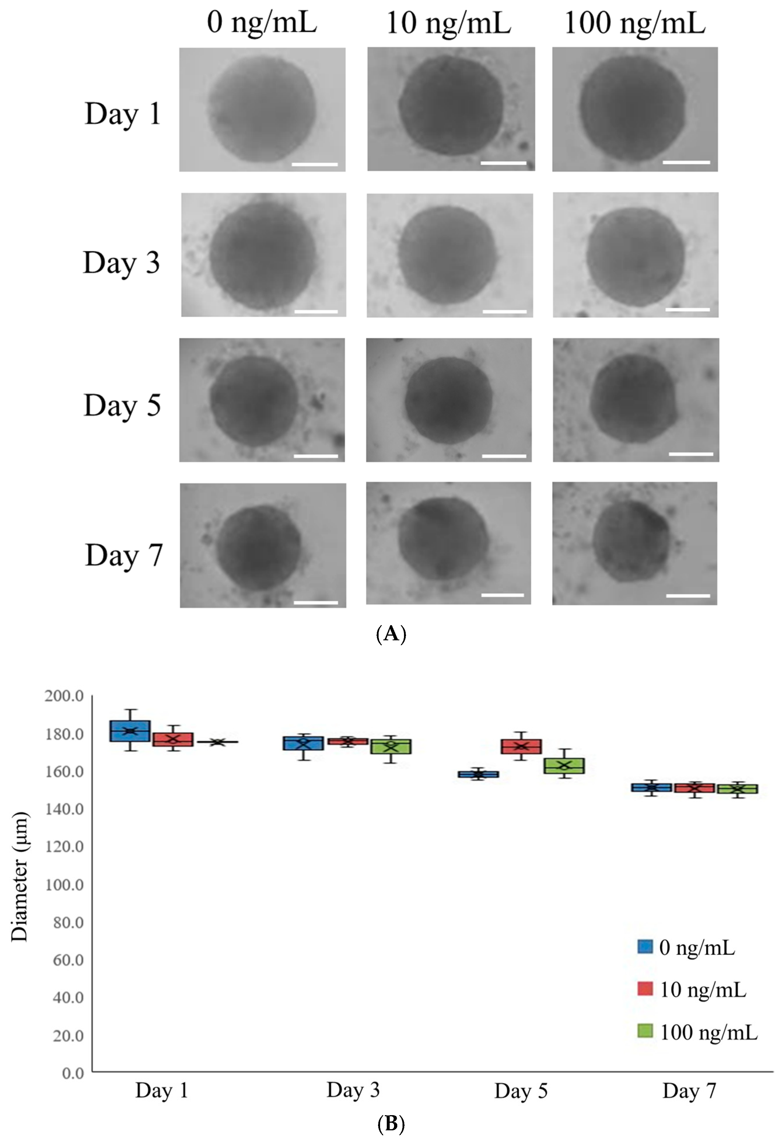Medicina 61 00076 g001