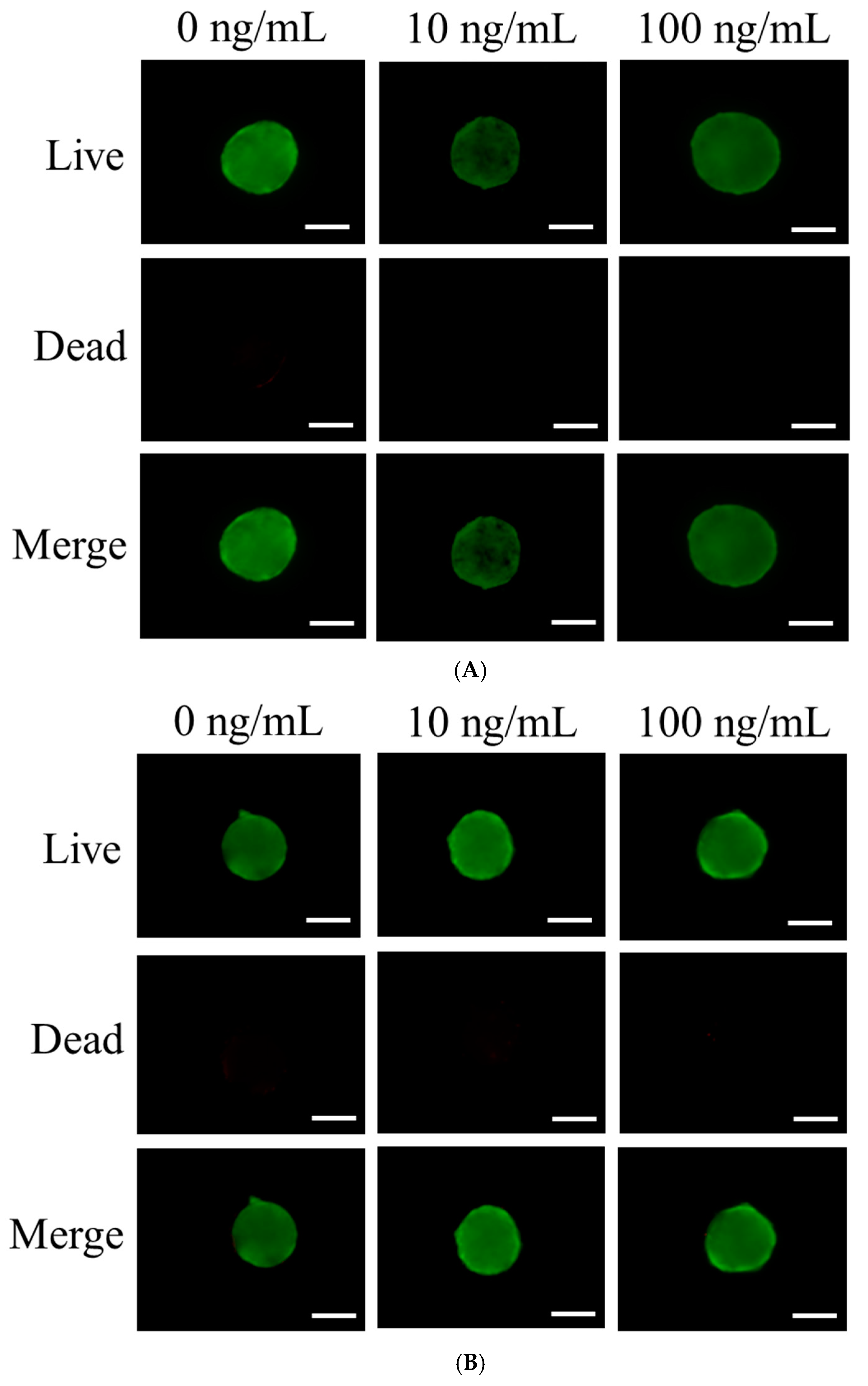 Medicina 61 00076 g002a