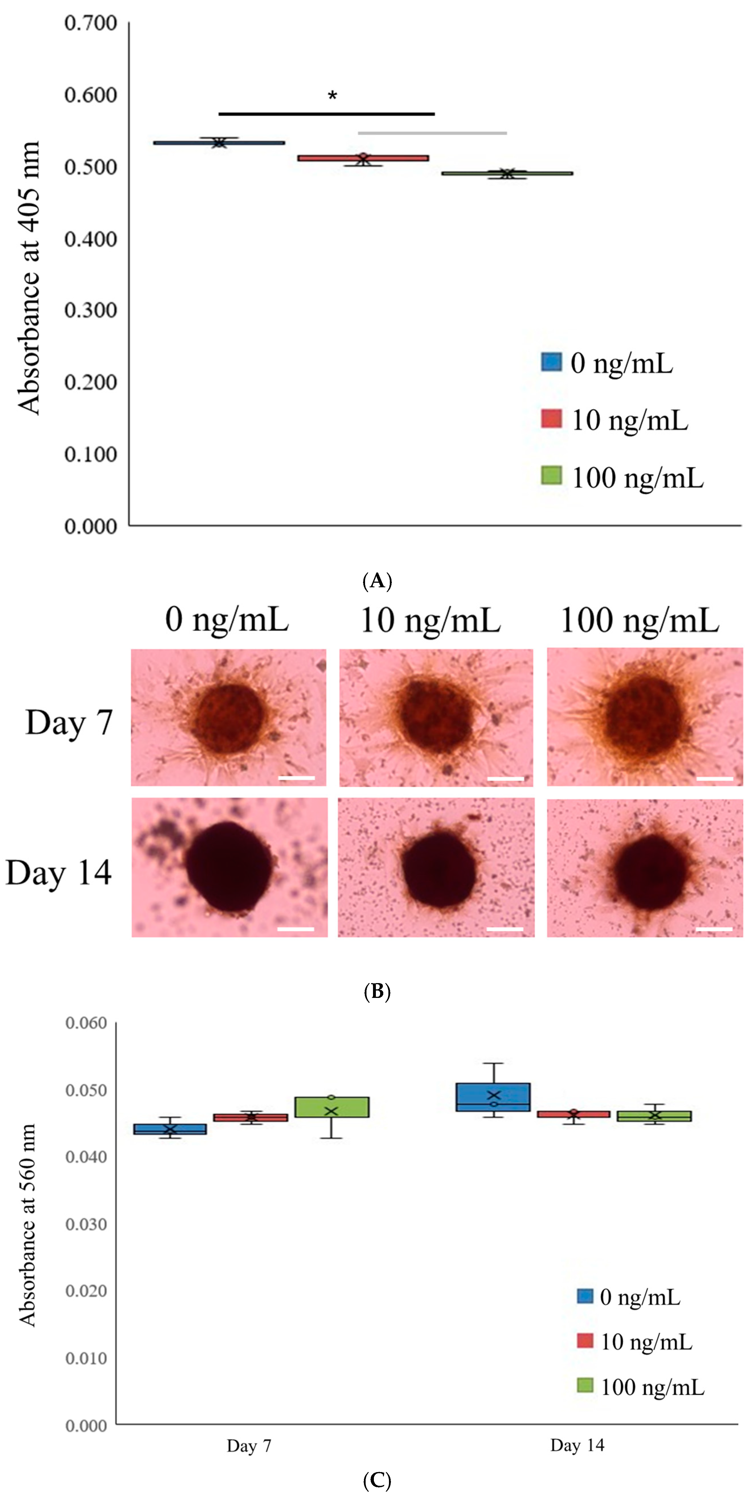 Medicina 61 00076 g003