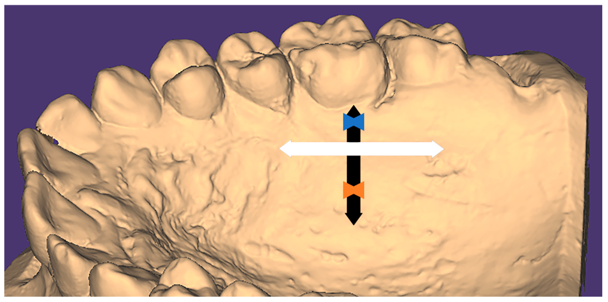 Medicina 61 00082 g002