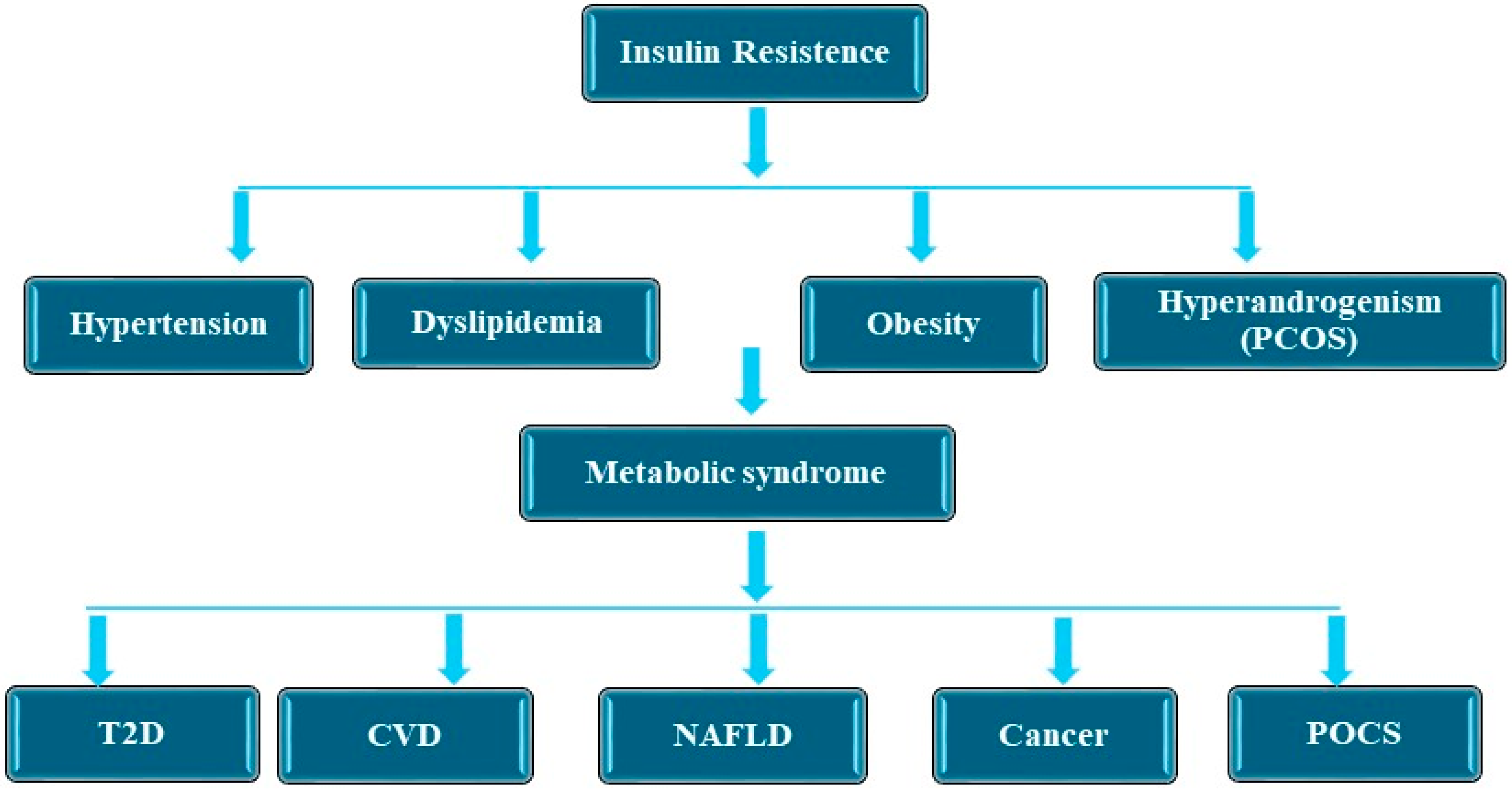 Medicina 61 00083 g001