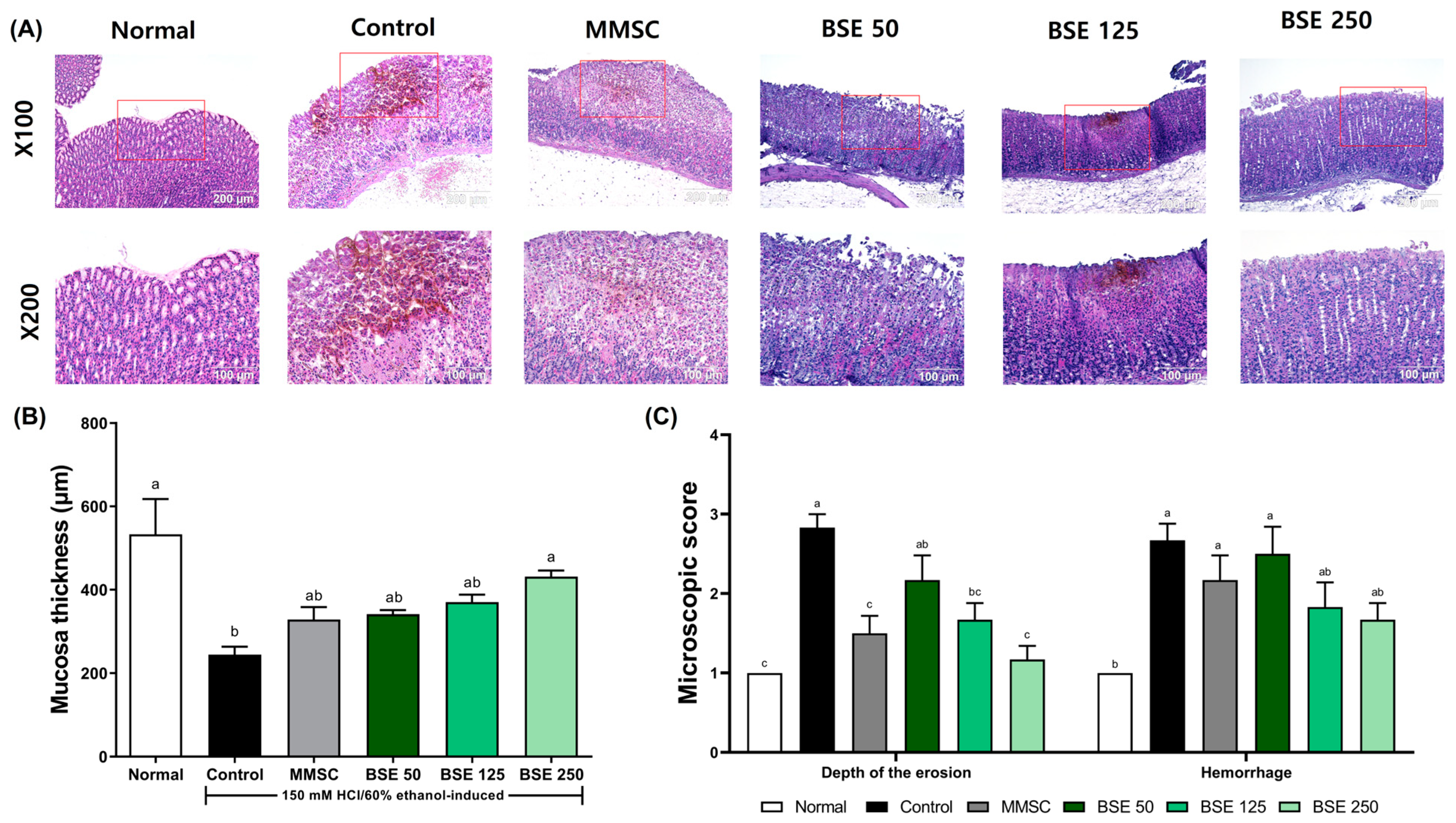 Medicina 61 00089 g005
