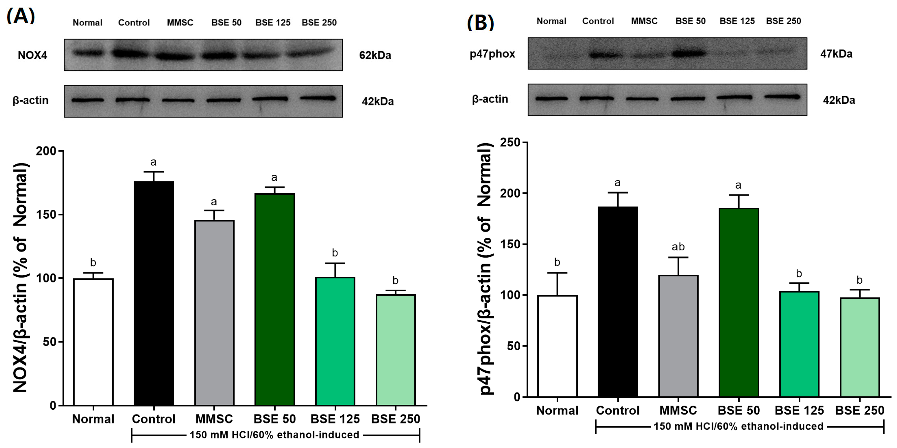 Medicina 61 00089 g006