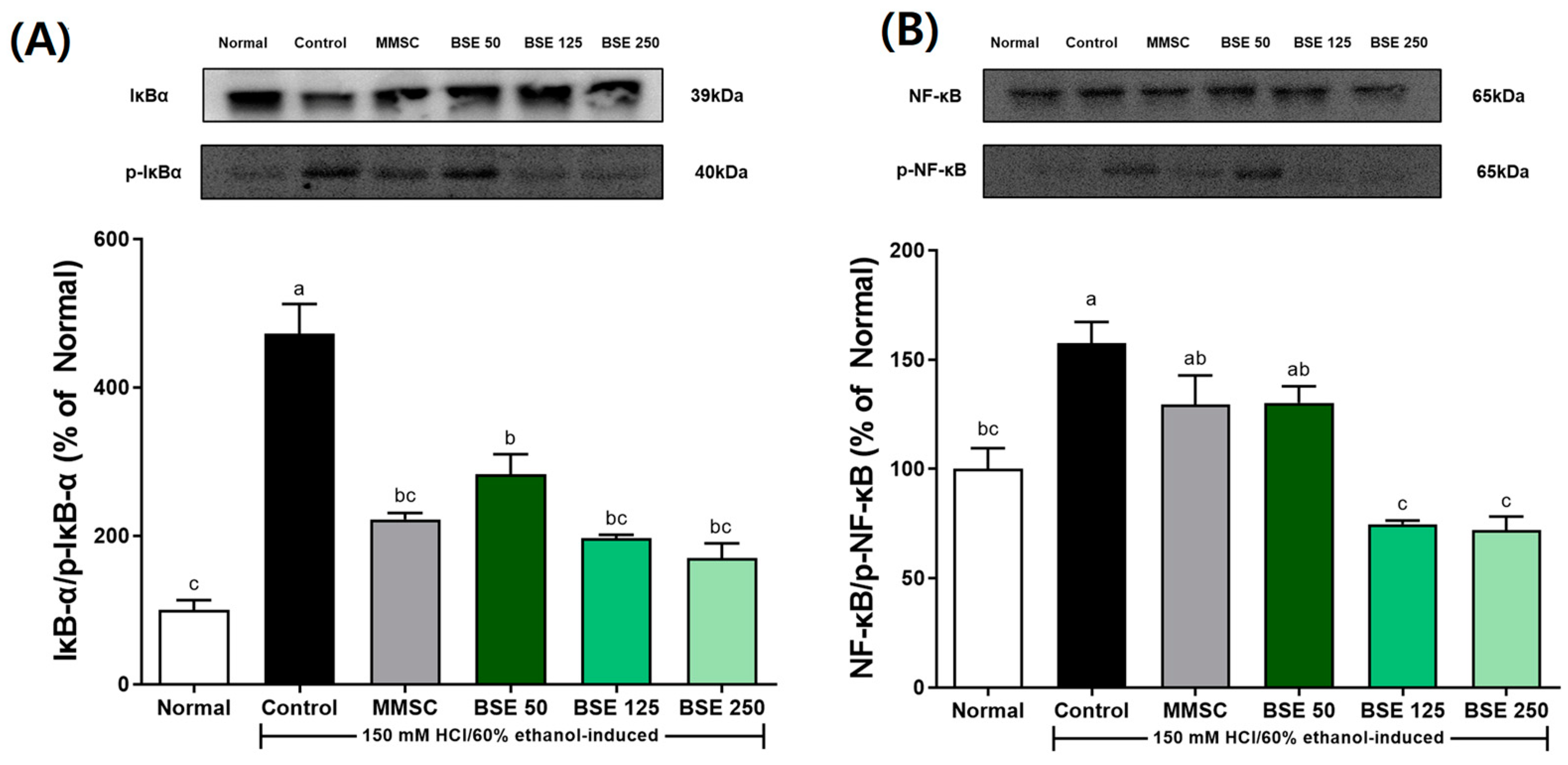 Medicina 61 00089 g007