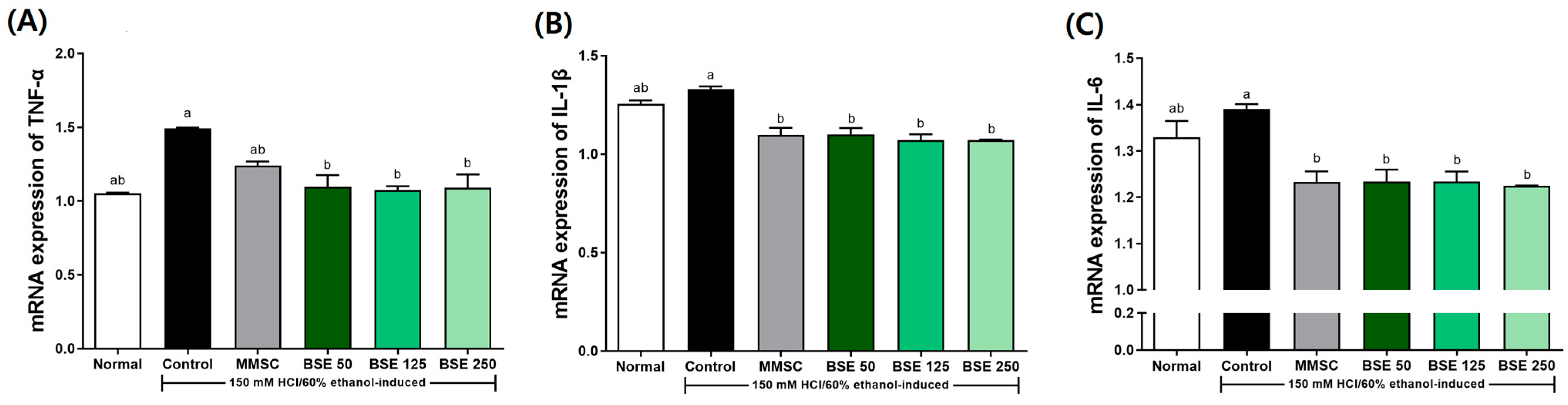 Medicina 61 00089 g008