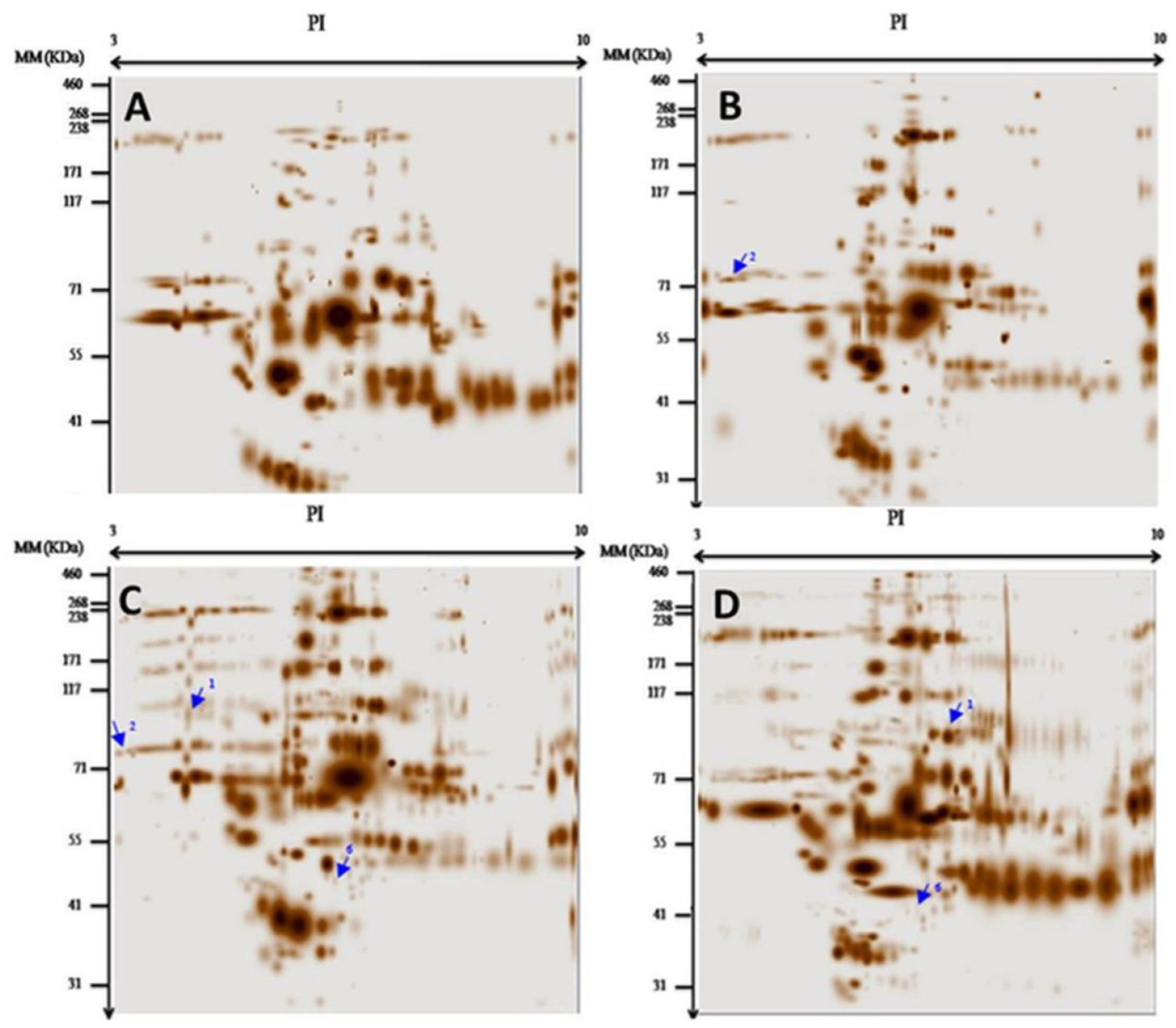 Medicina 61 00105 g001