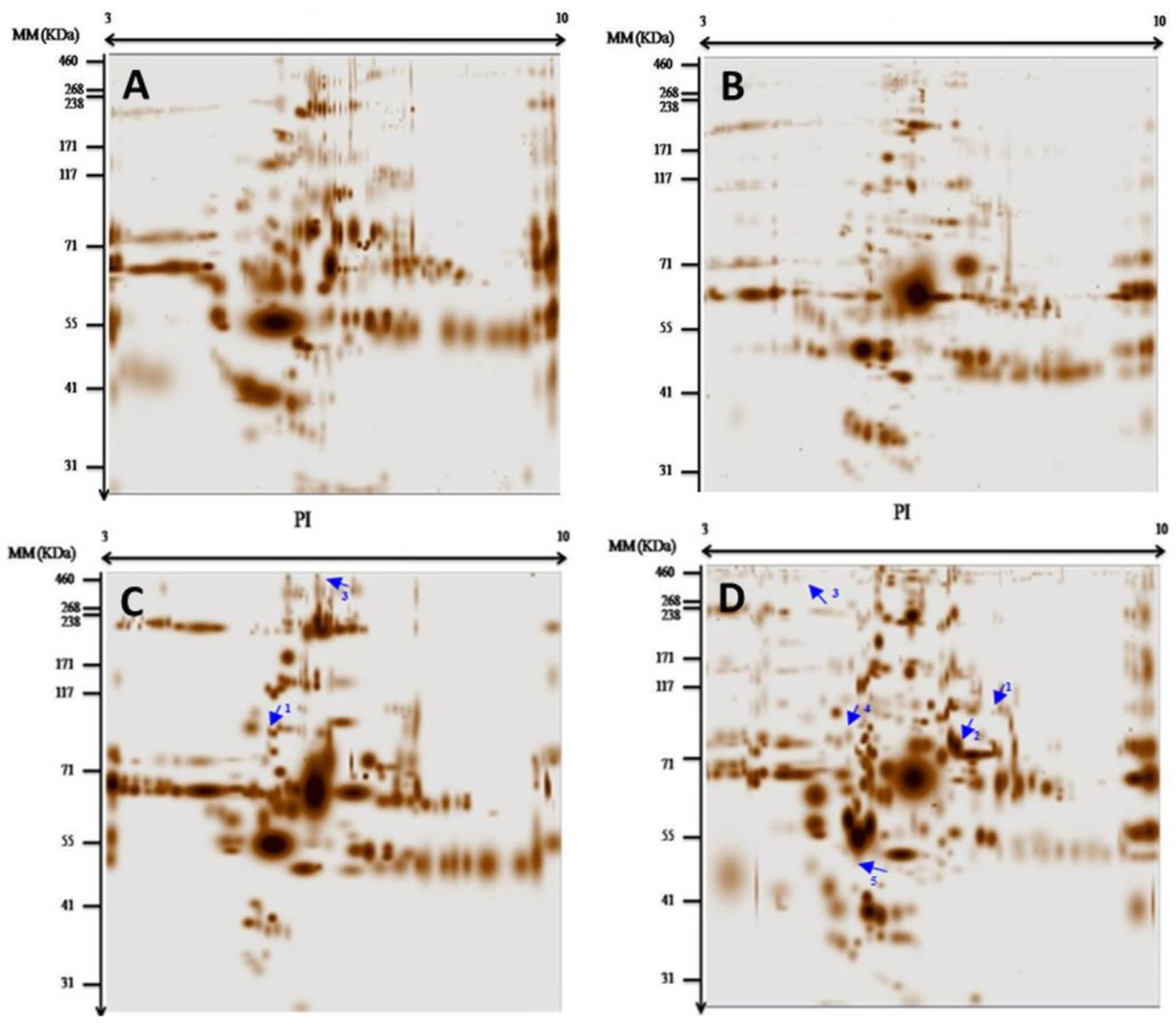 Identification of Biomarkers of Arrhythmogenic