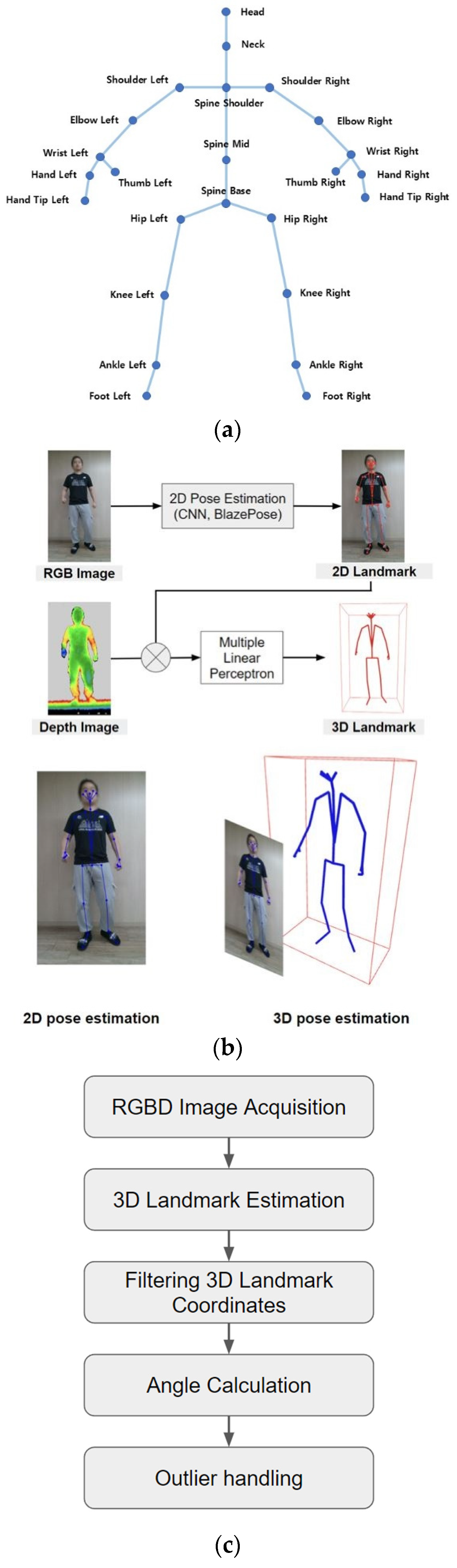 Medicina 61 00119 g002
