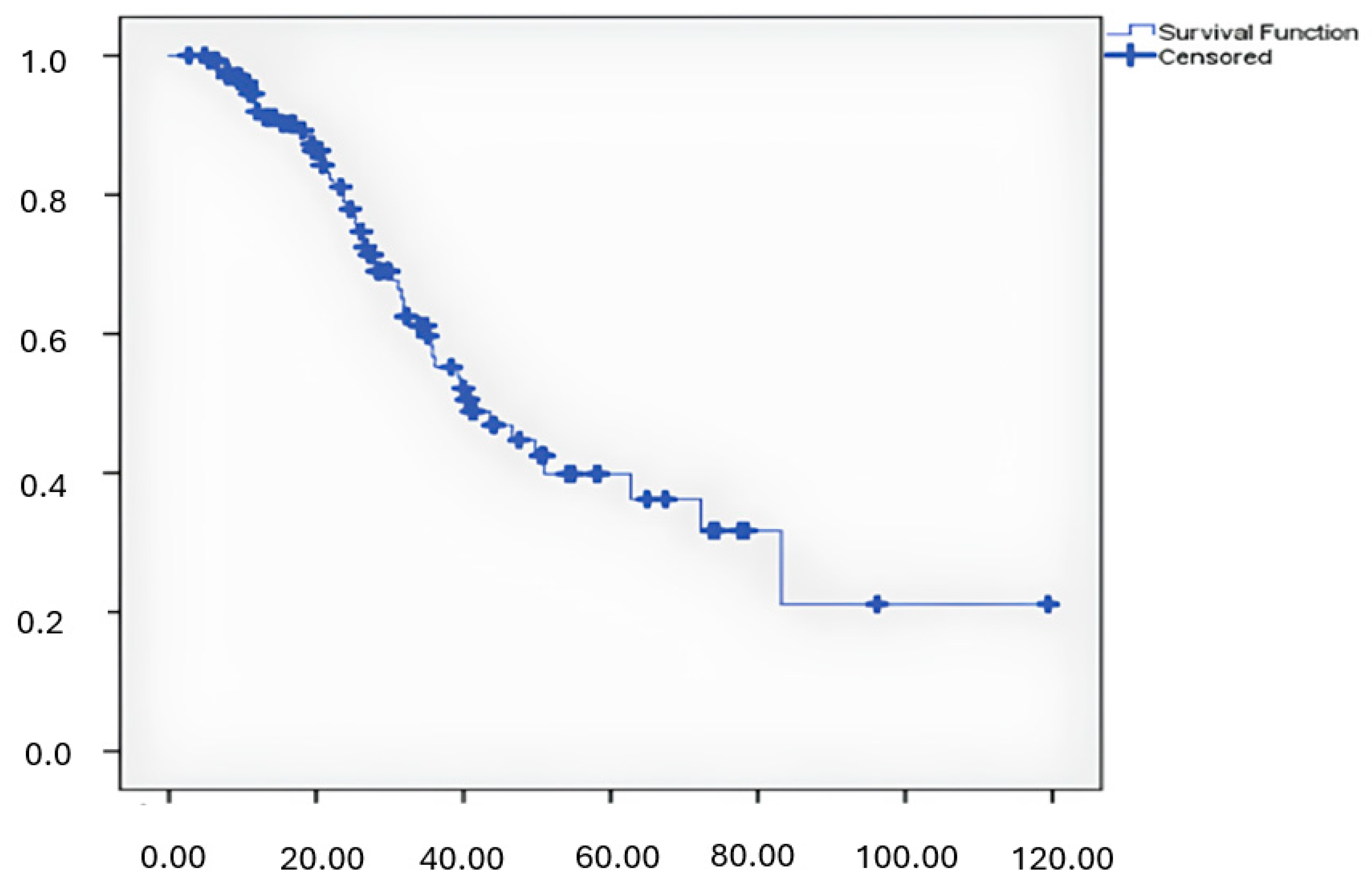 Medicina 61 00123 g002