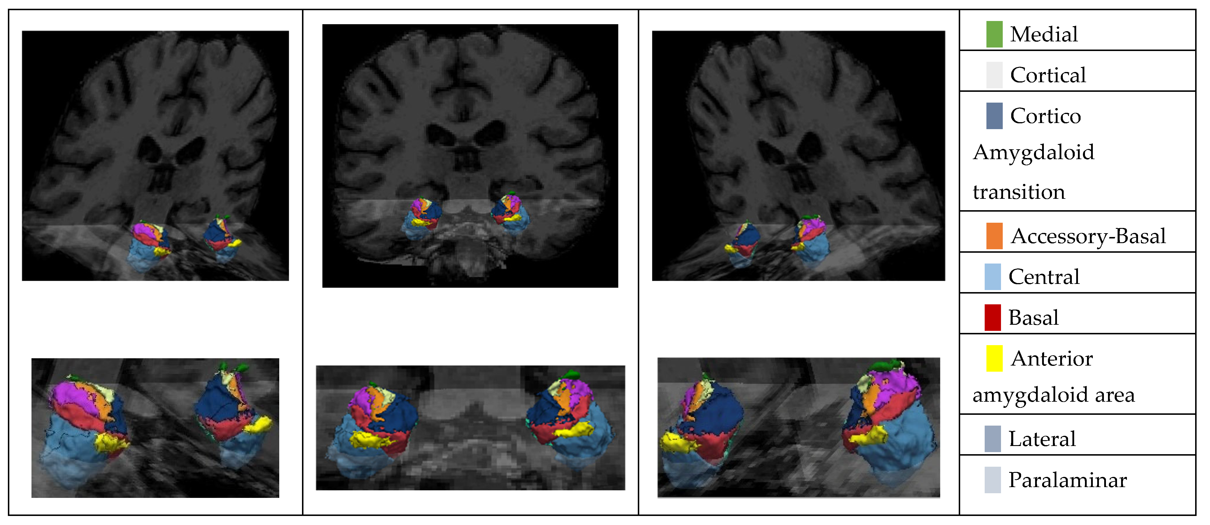 Medicina 61 00130 g002