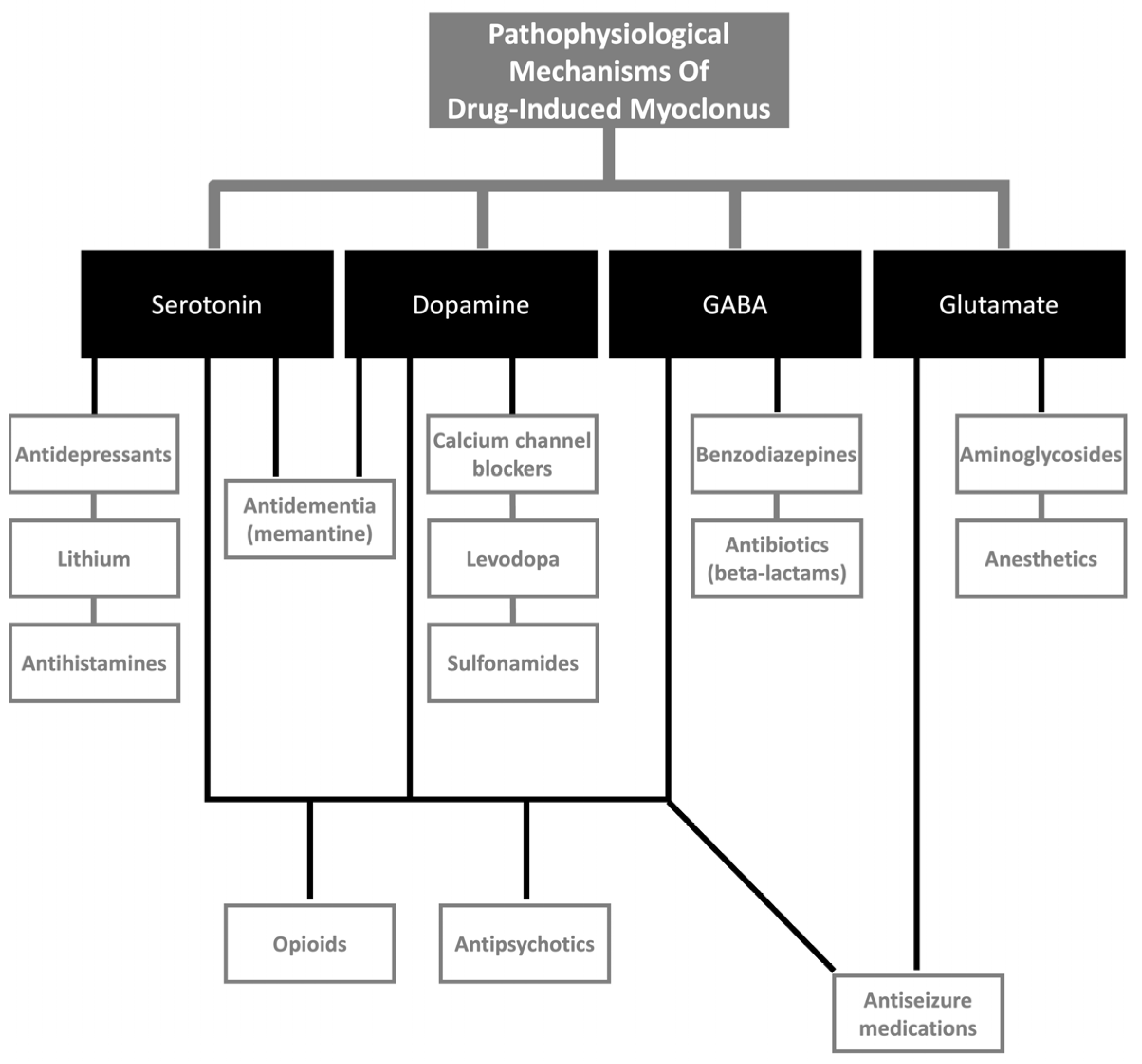 Medicina 61 00131 g002 Medicina 61 00131 g002