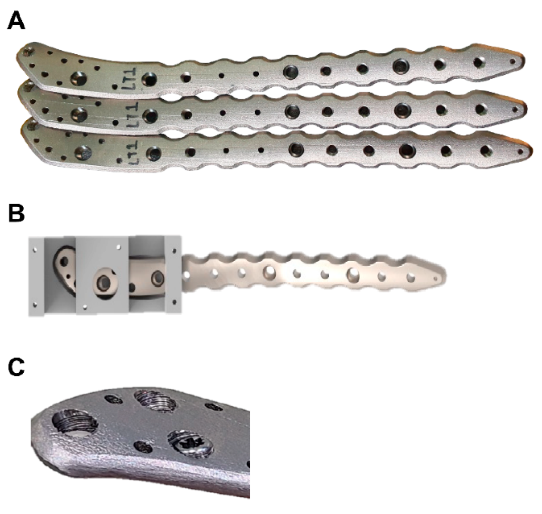 Medicina 61 00137 g002