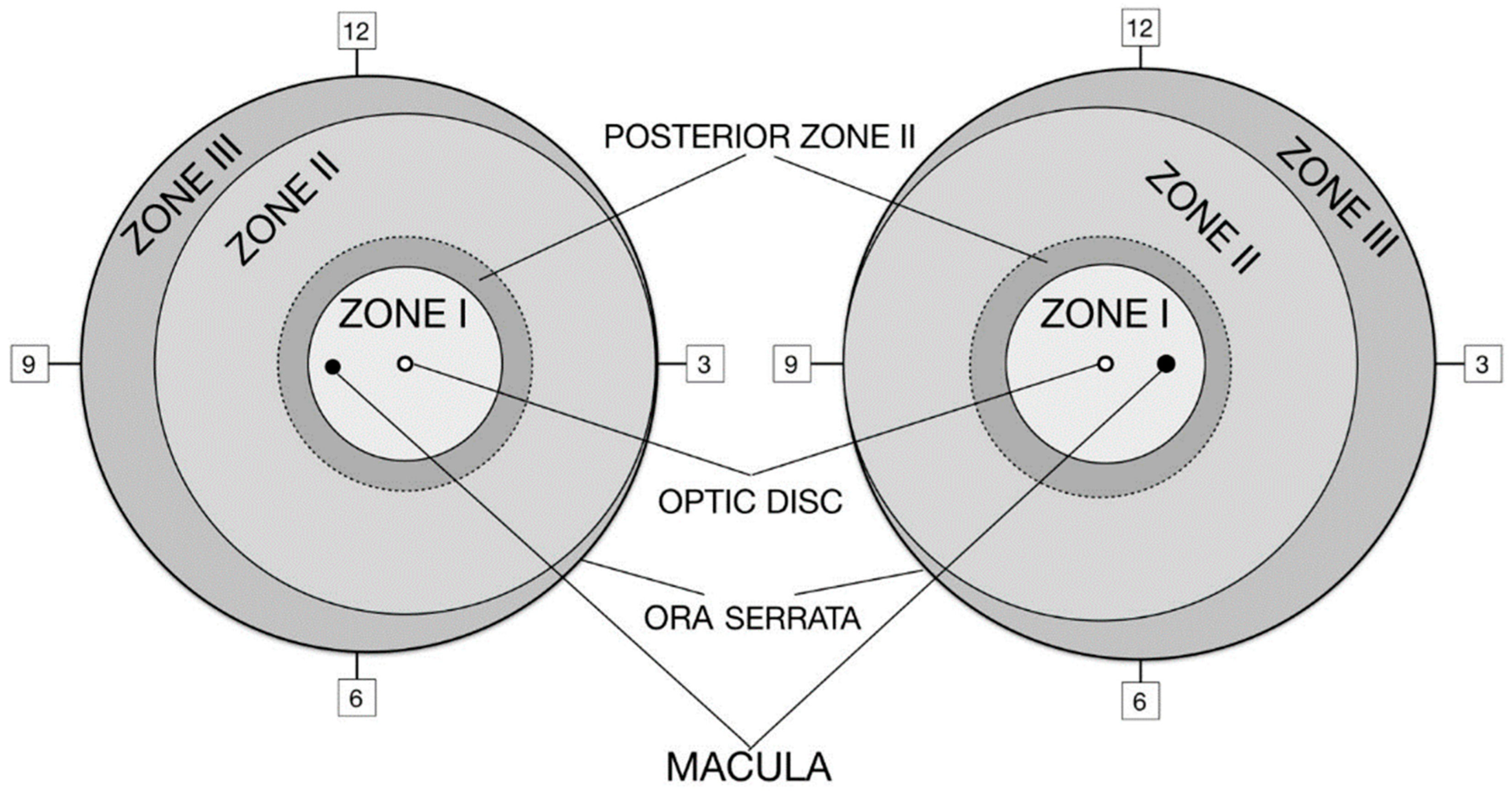 Medicina 61 00149 g001