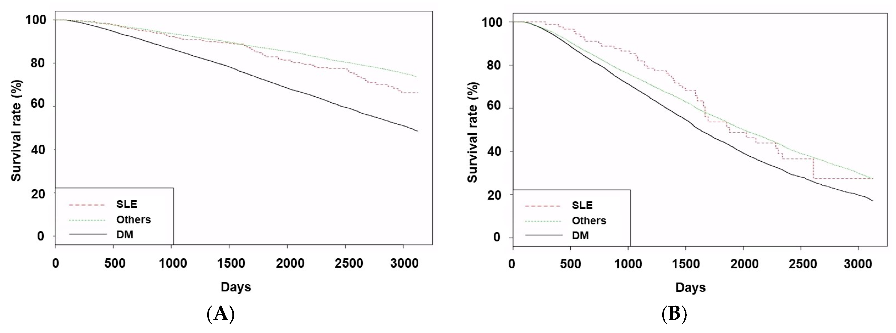 Medicina 61 00155 g002