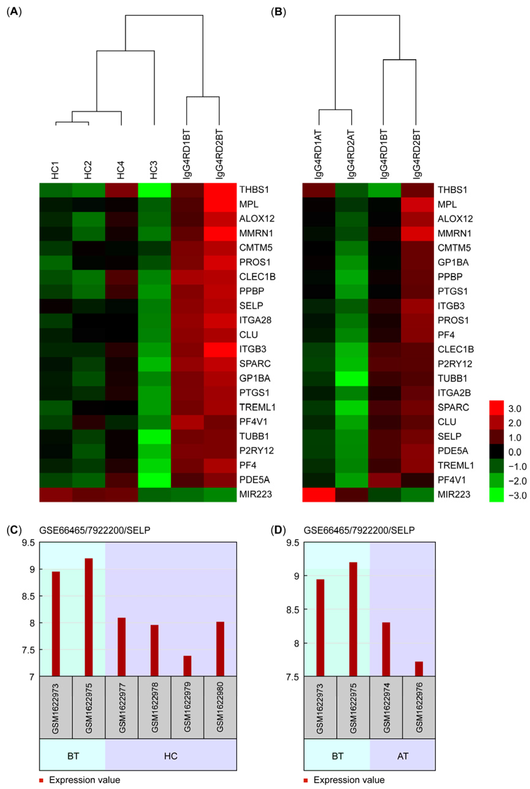 Medicina 61 00162 g004