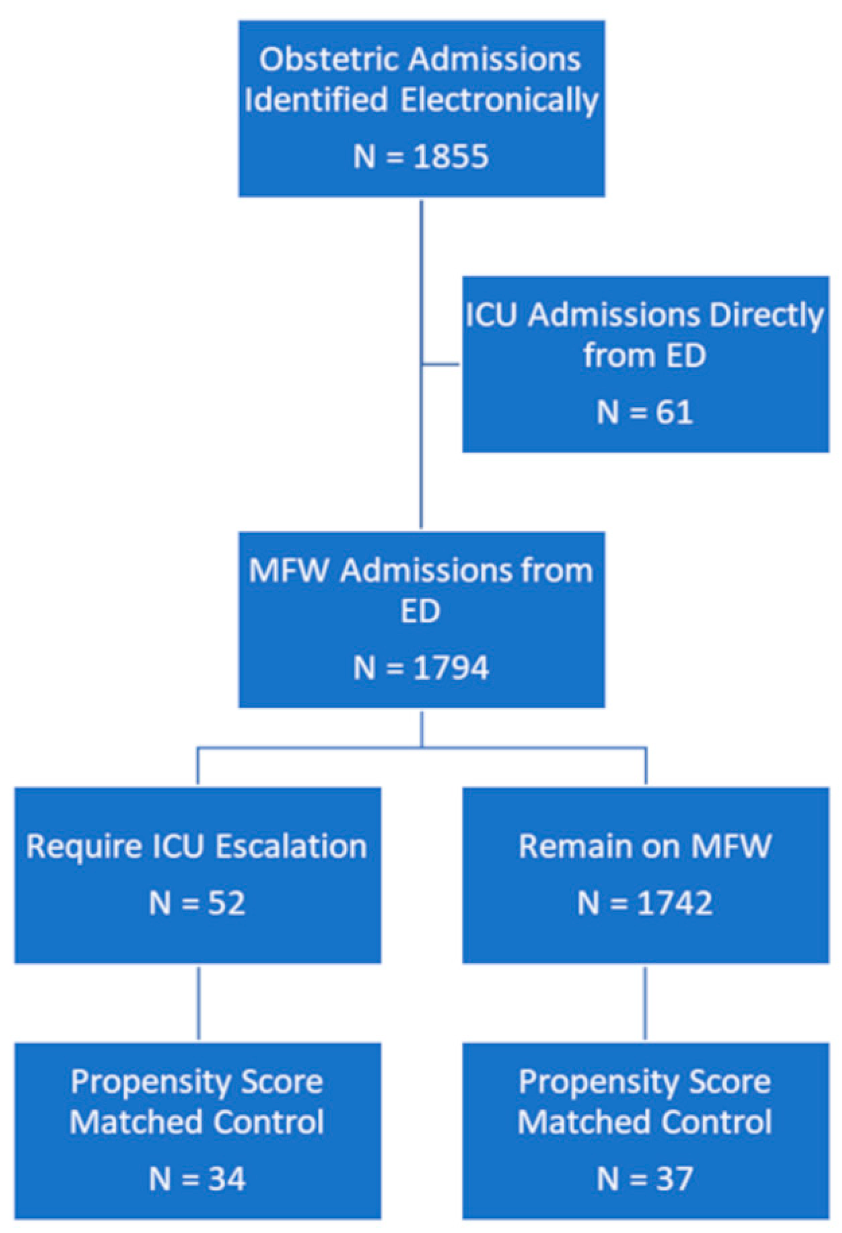 Medicina 61 00163 g001
