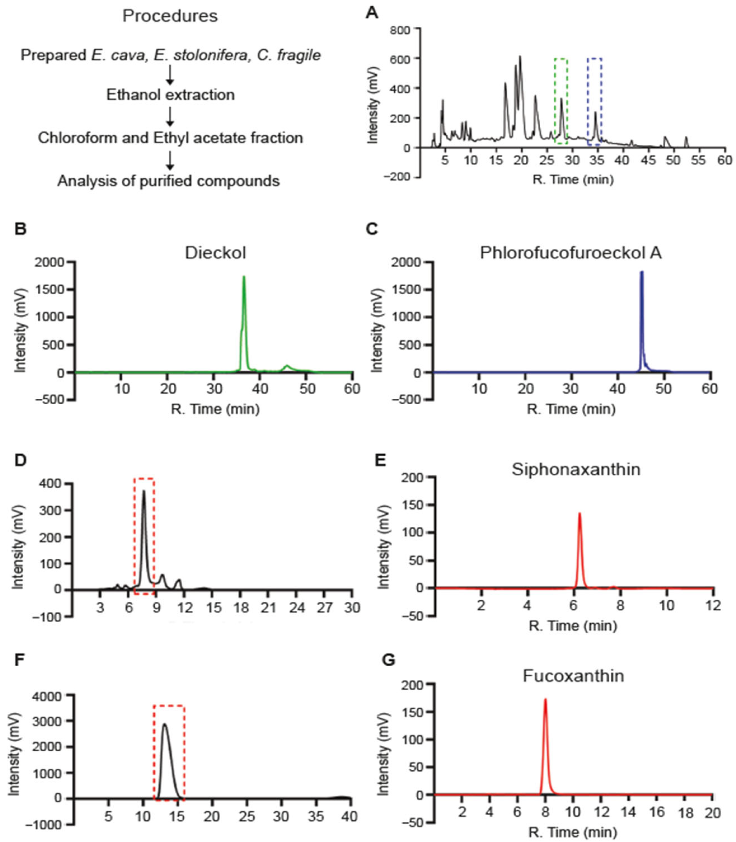 Medicina 61 00165 g001
