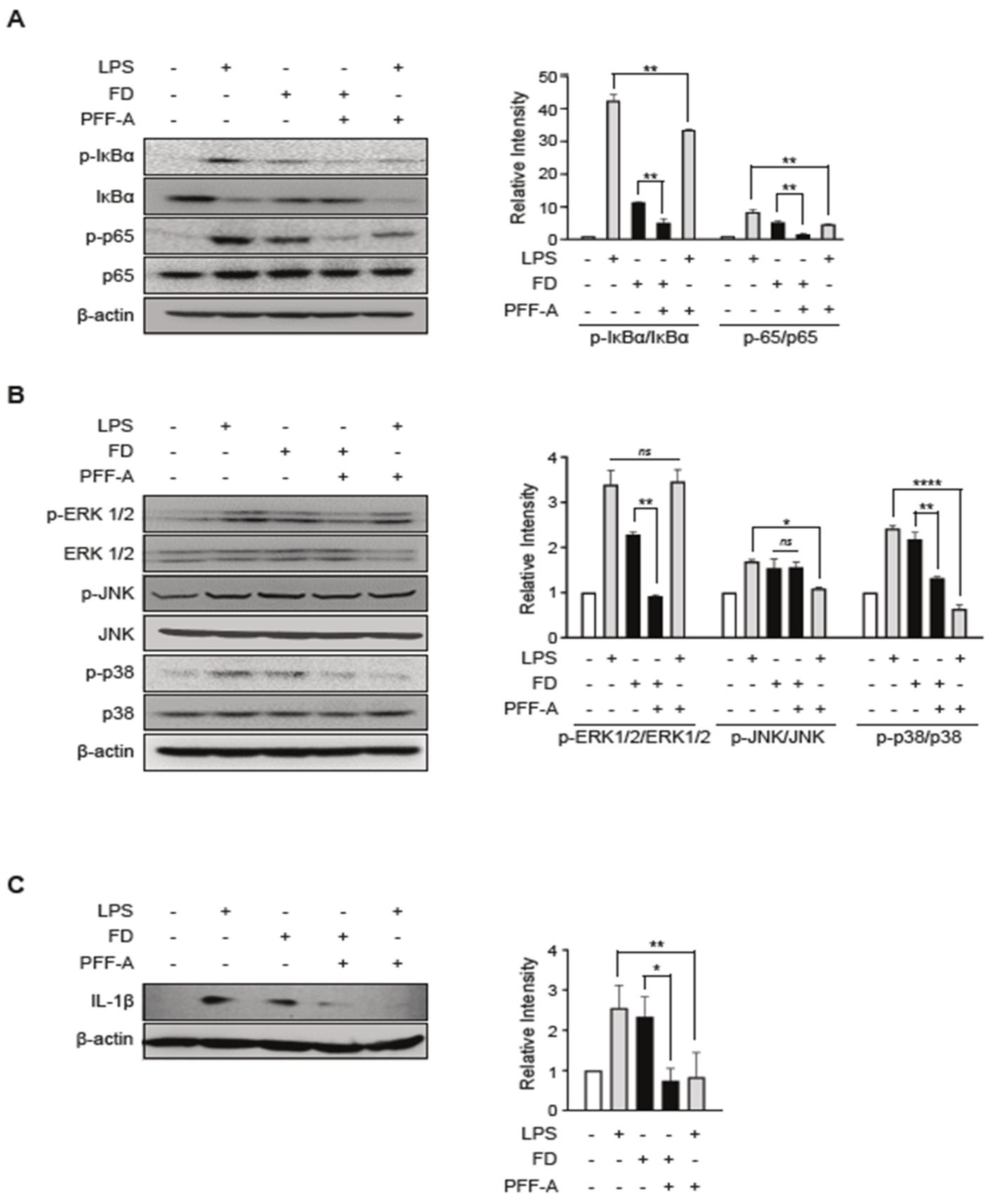 Medicina 61 00165 g004