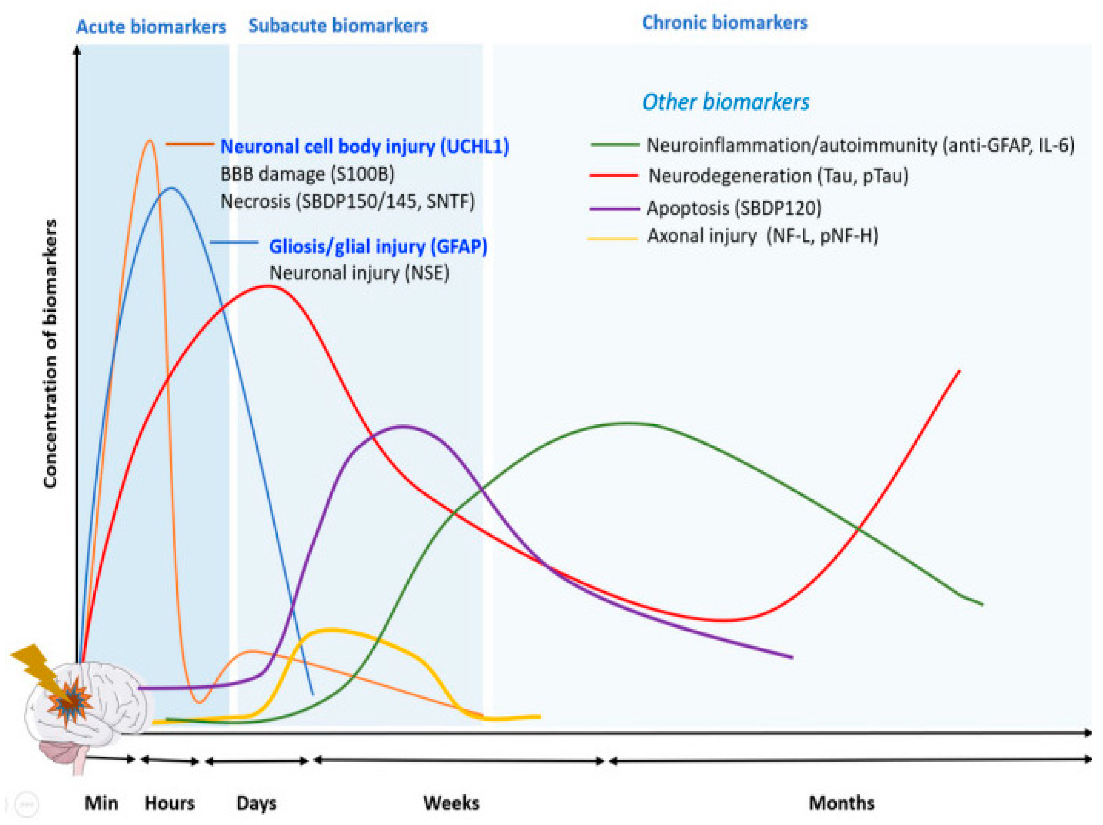 Medicina 61 00167 g001