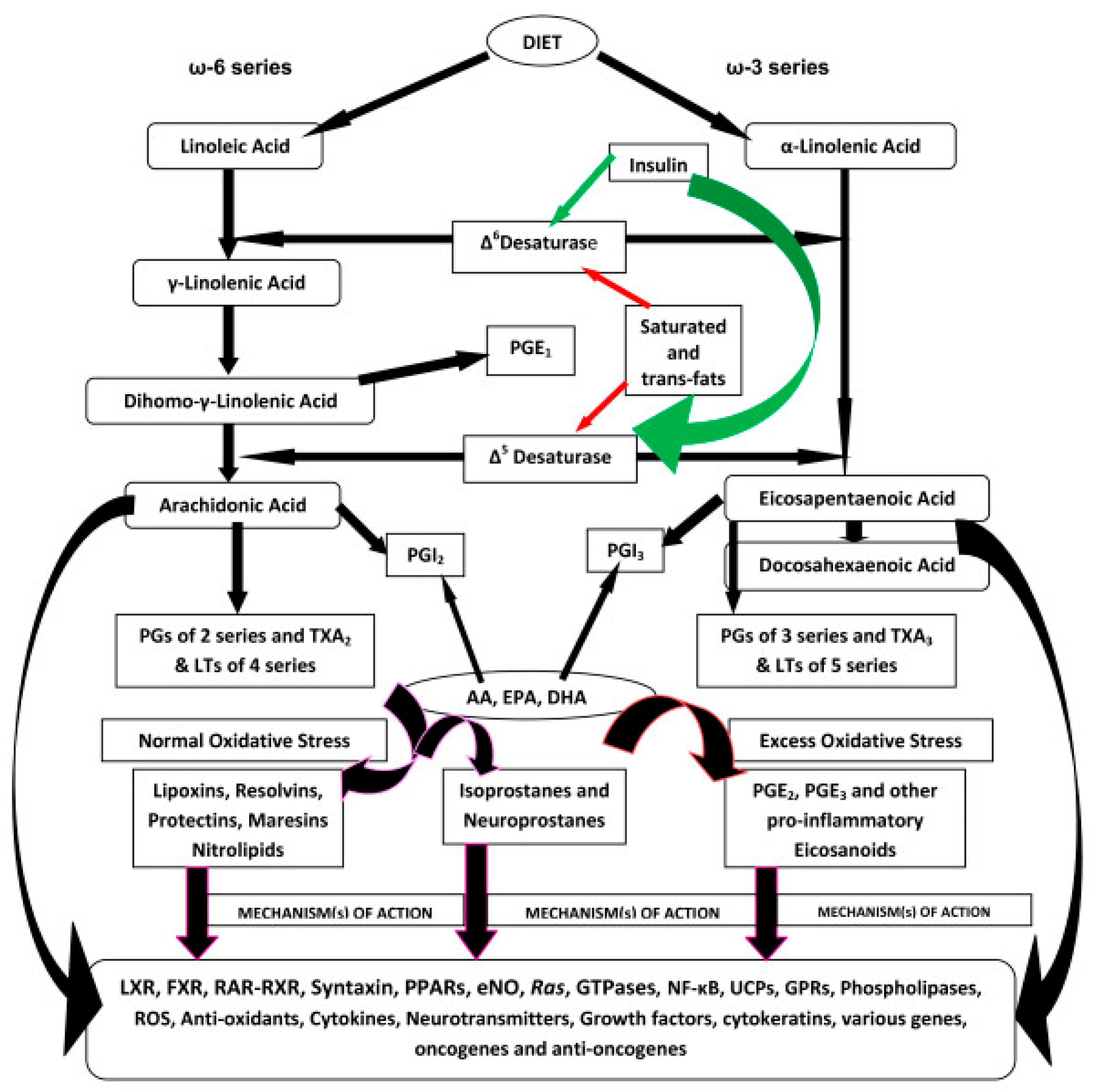 Medicina 61 00177 g001