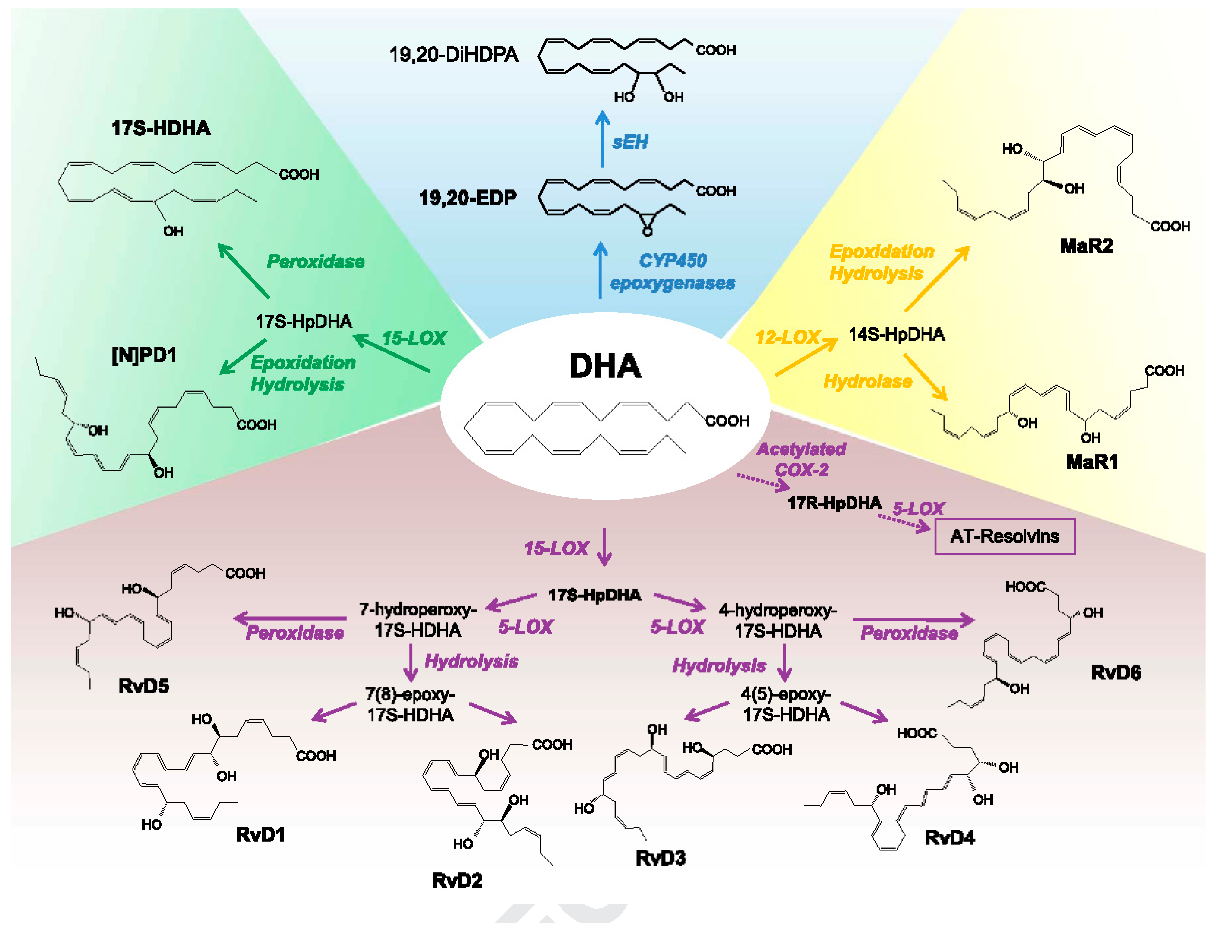 Medicina 61 00177 g004