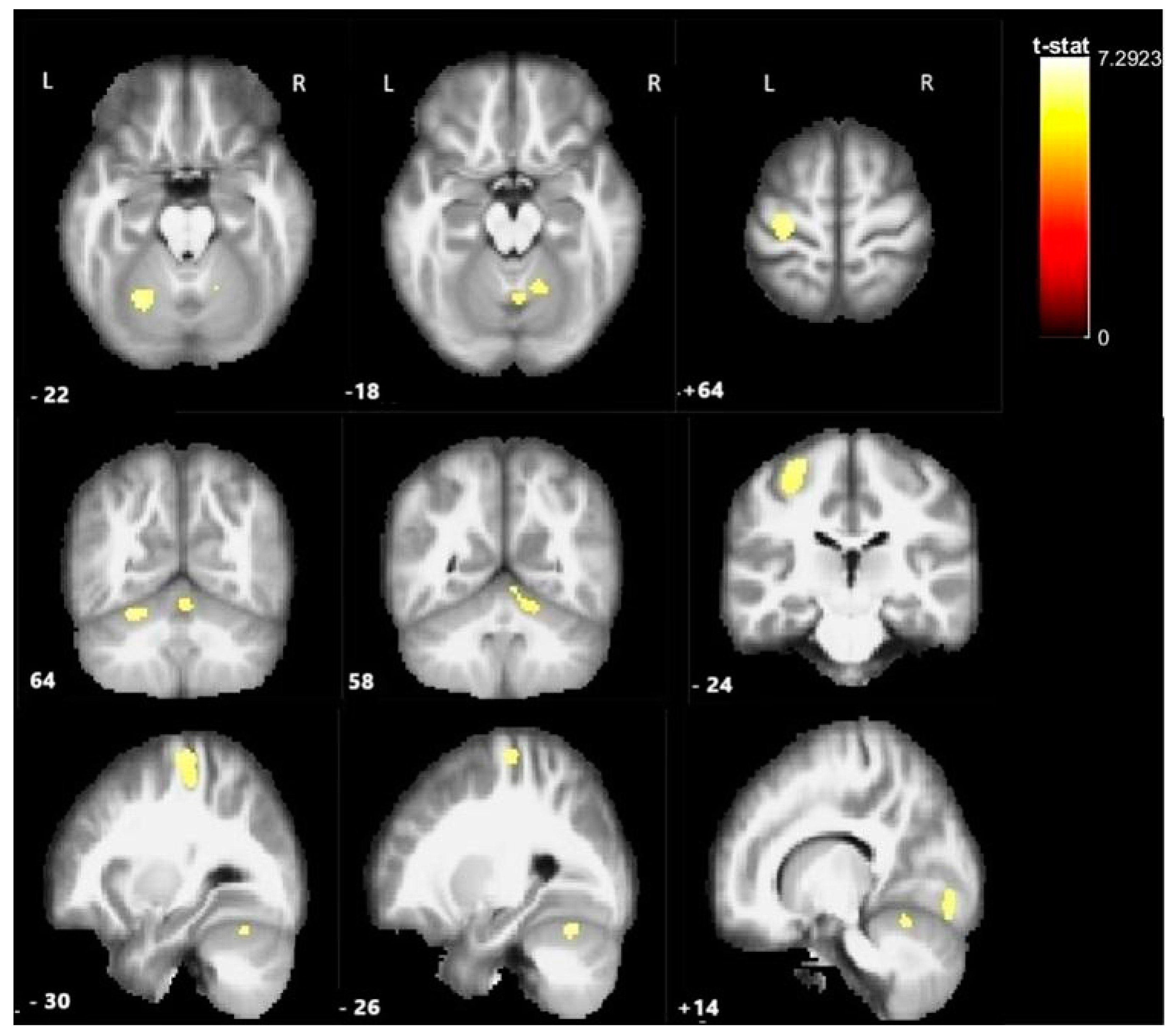 Medicina 61 00205 g002