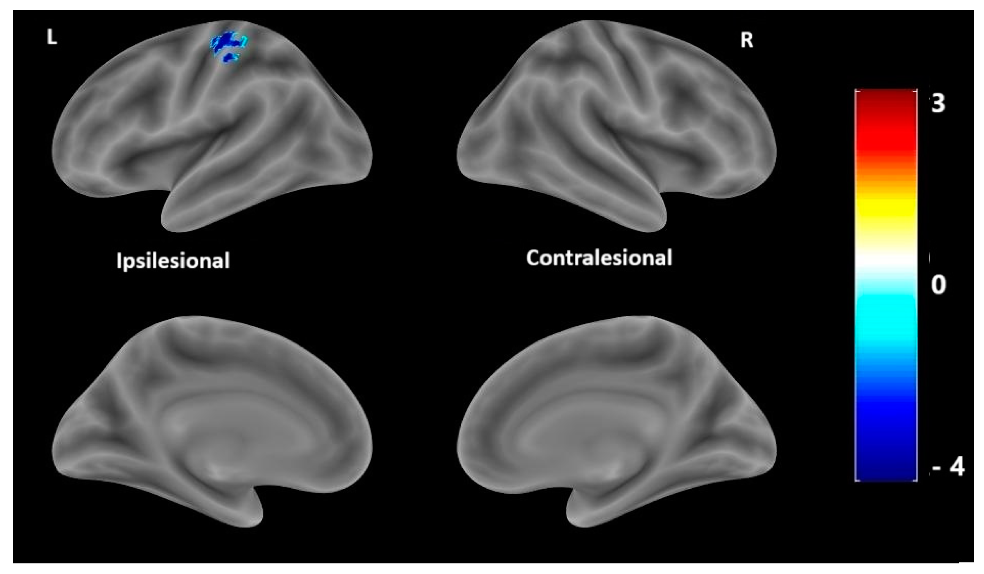 Medicina 61 00205 g003