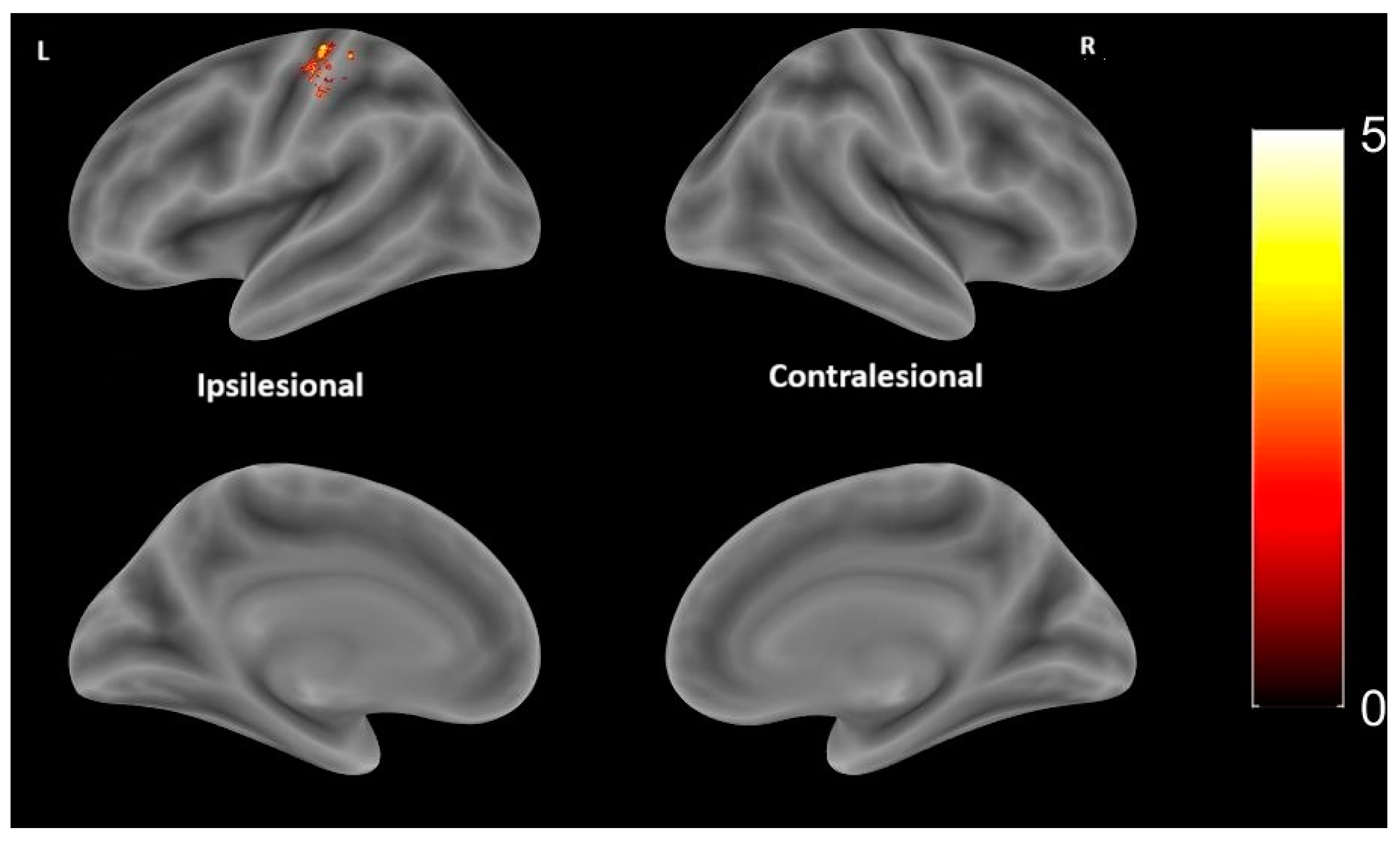 Medicina 61 00205 g004