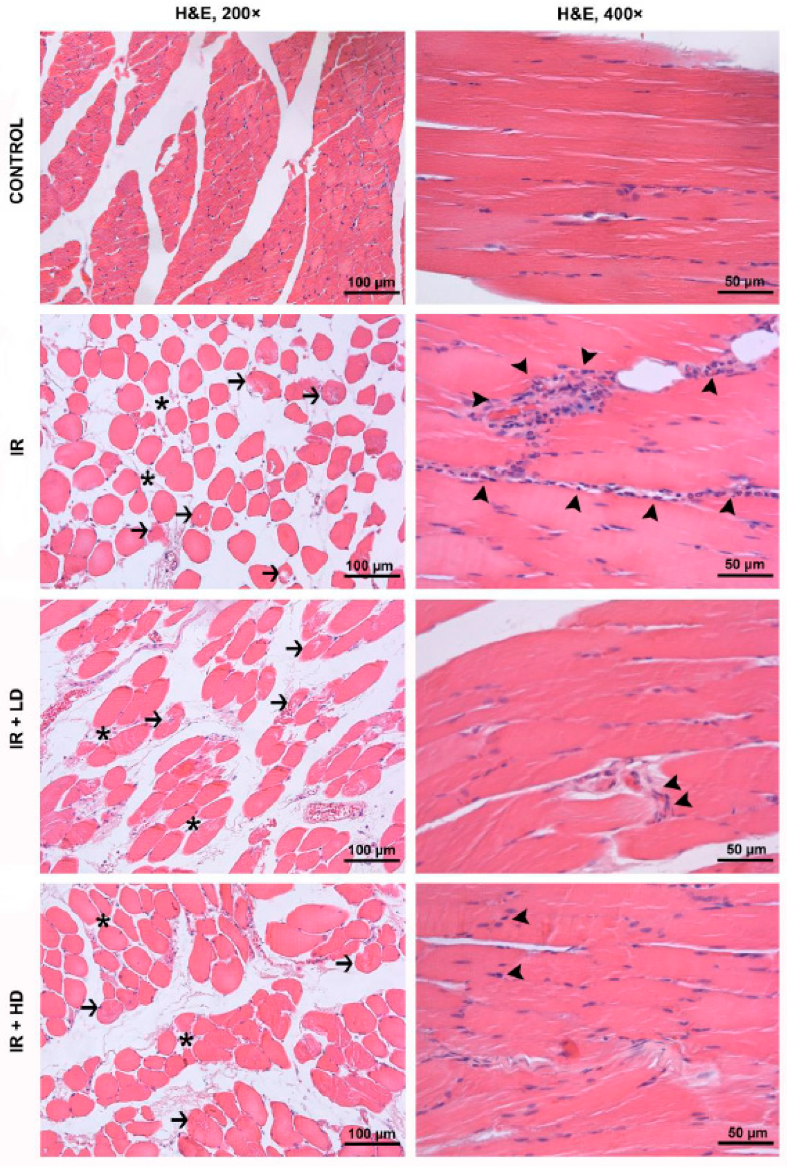 Medicina 61 00212 g001