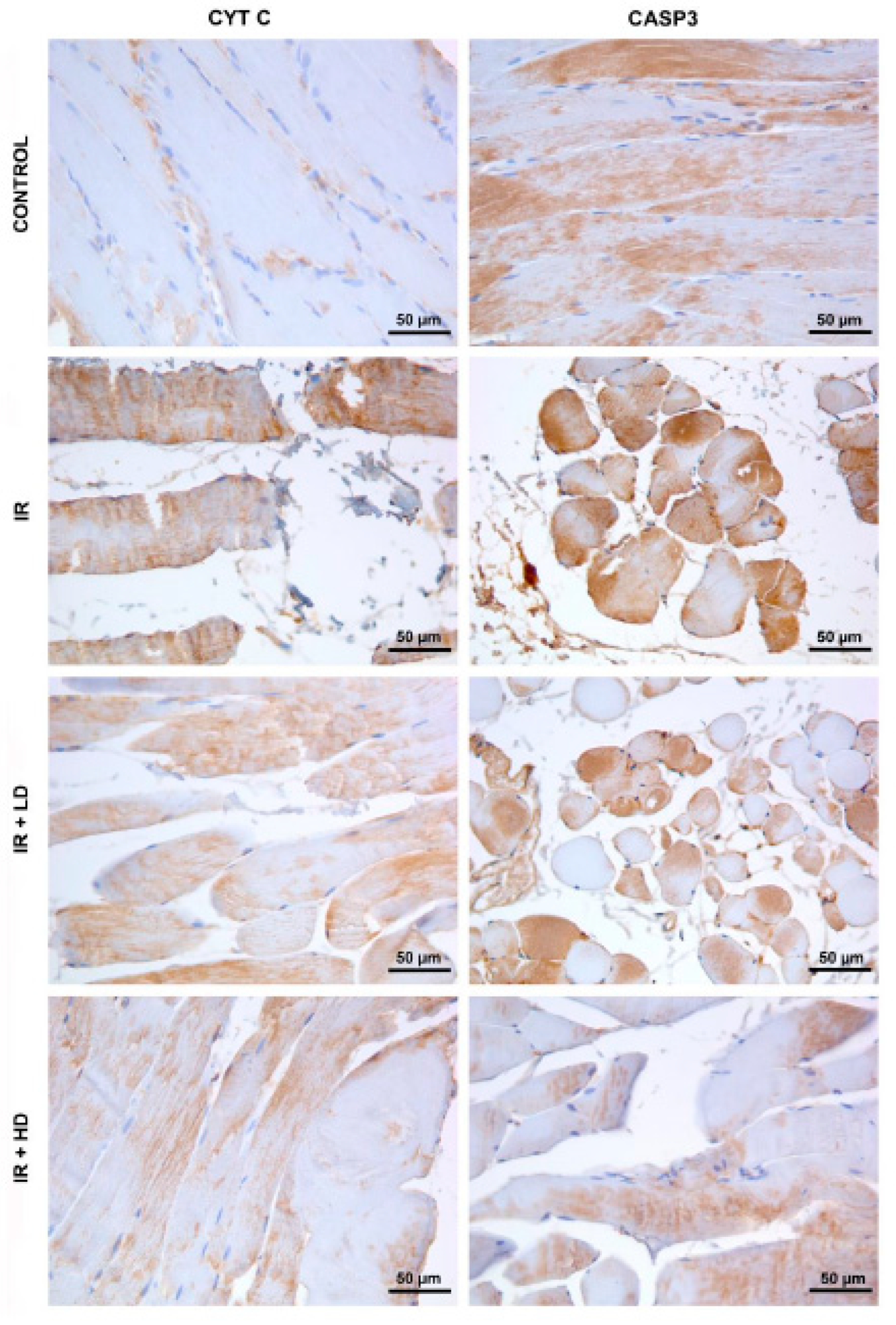 Medicina 61 00212 g003
