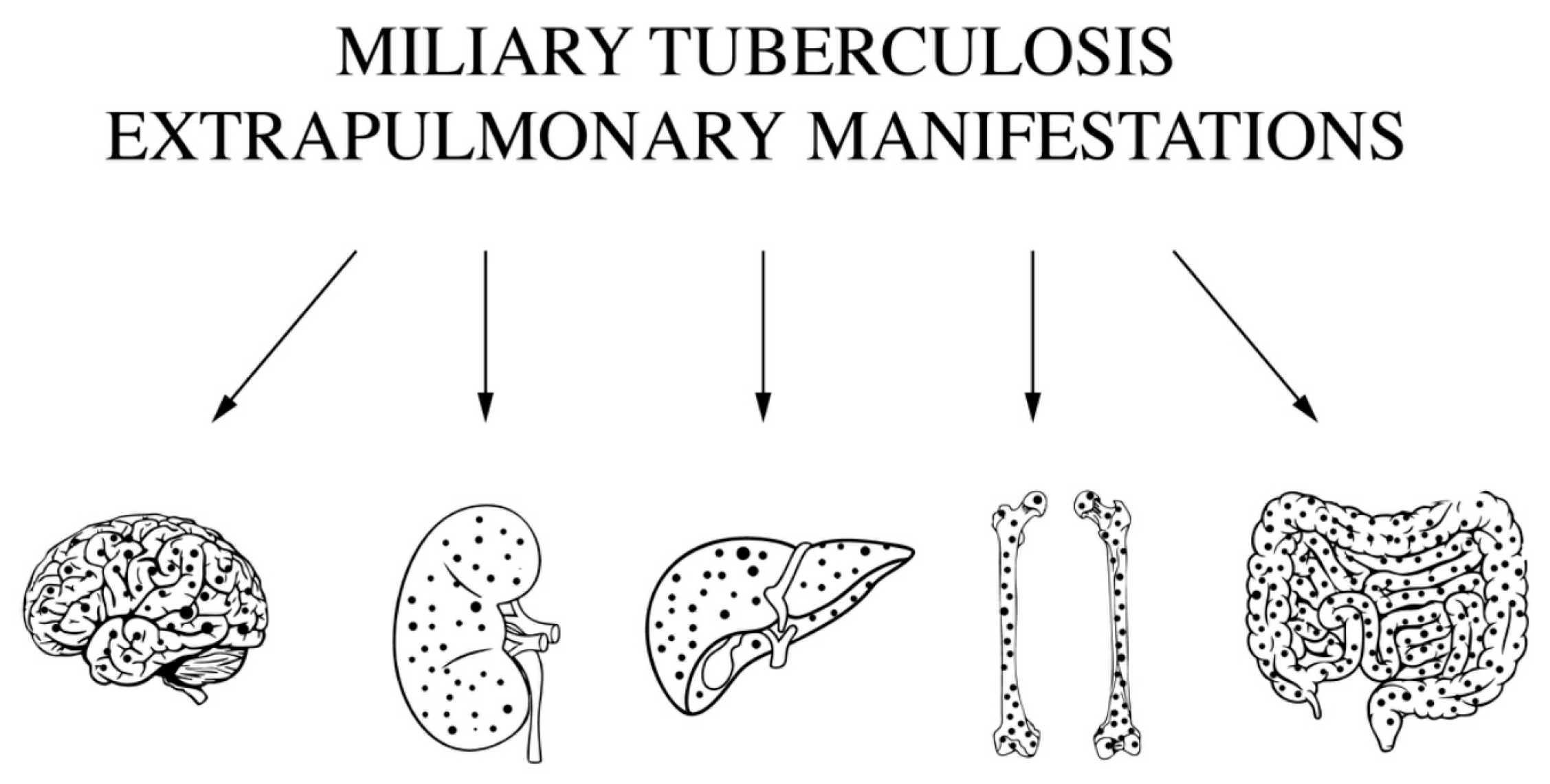 Medicina 61 00214 g001