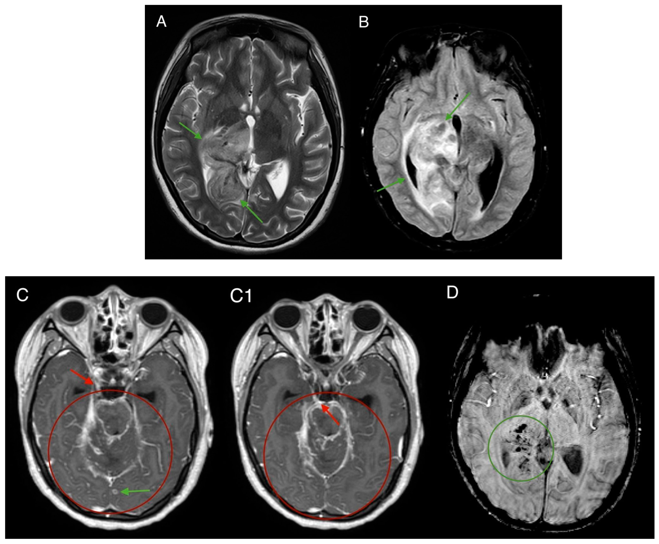 Medicina 61 00214 g003