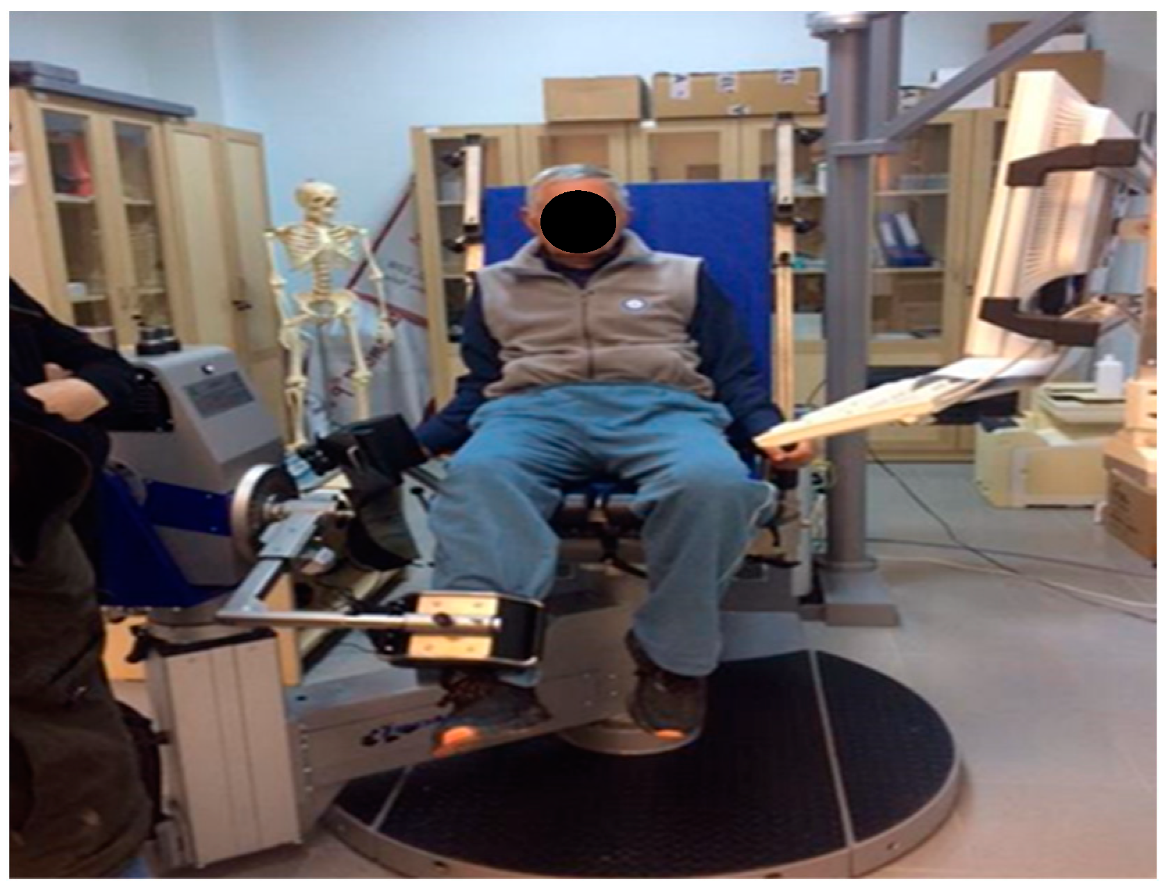 Medicina 61 00219 g003