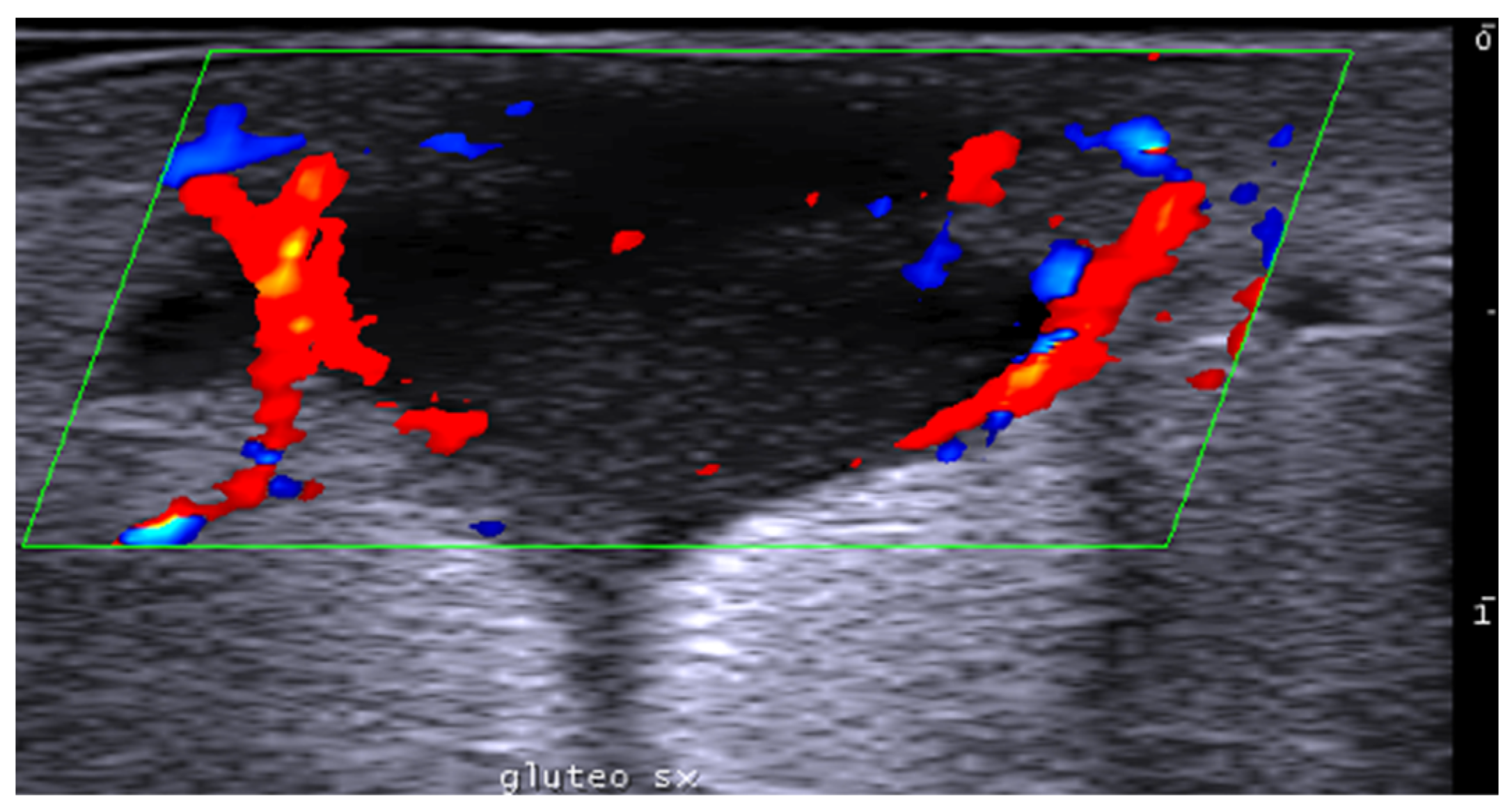 Medicina 61 00220 g003