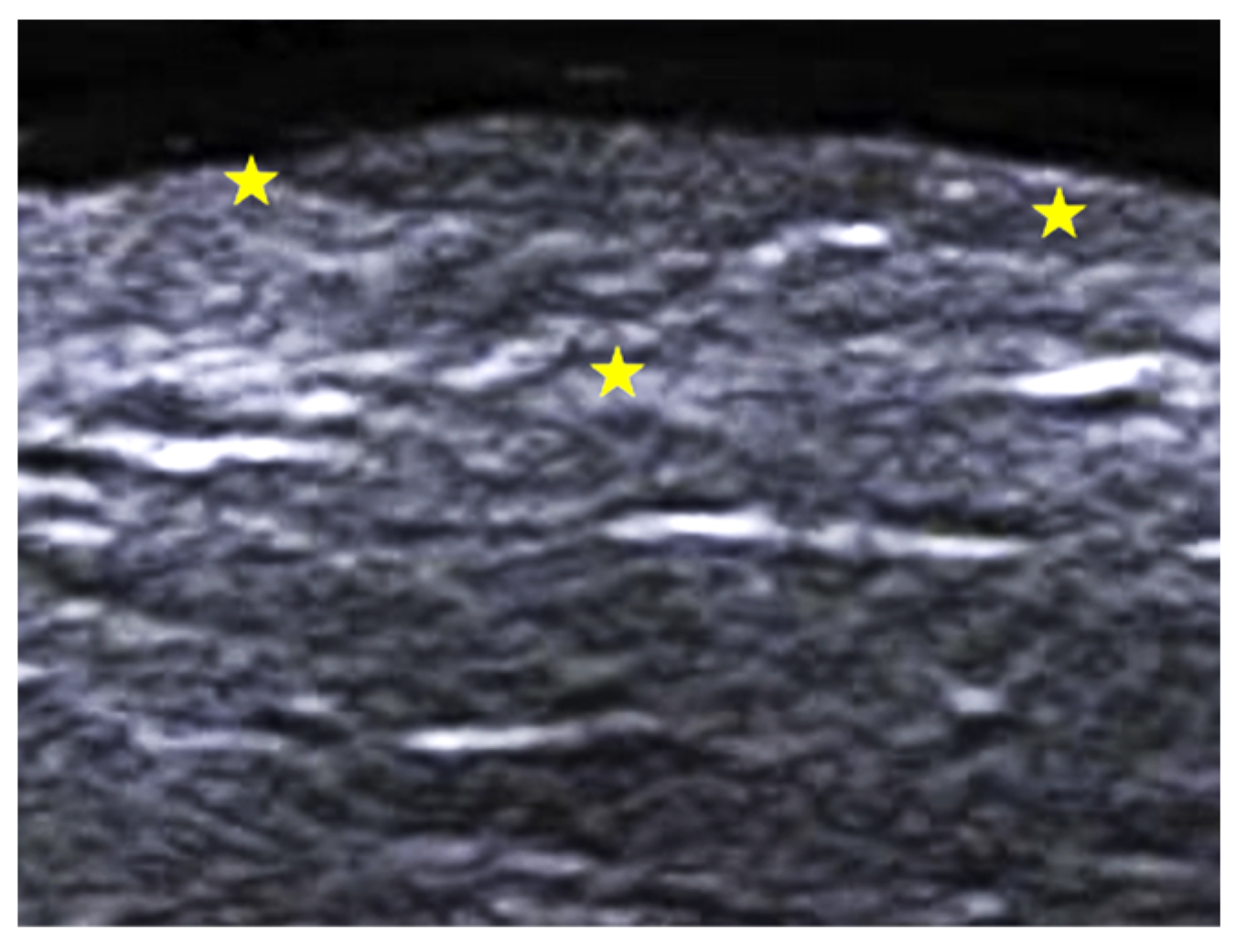 Medicina 61 00220 g014