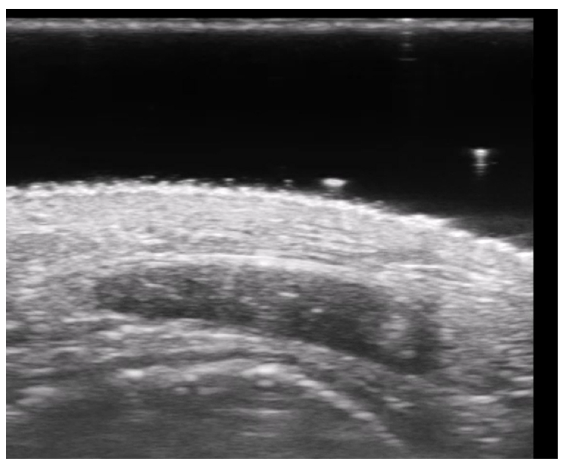 Medicina 61 00220 g016