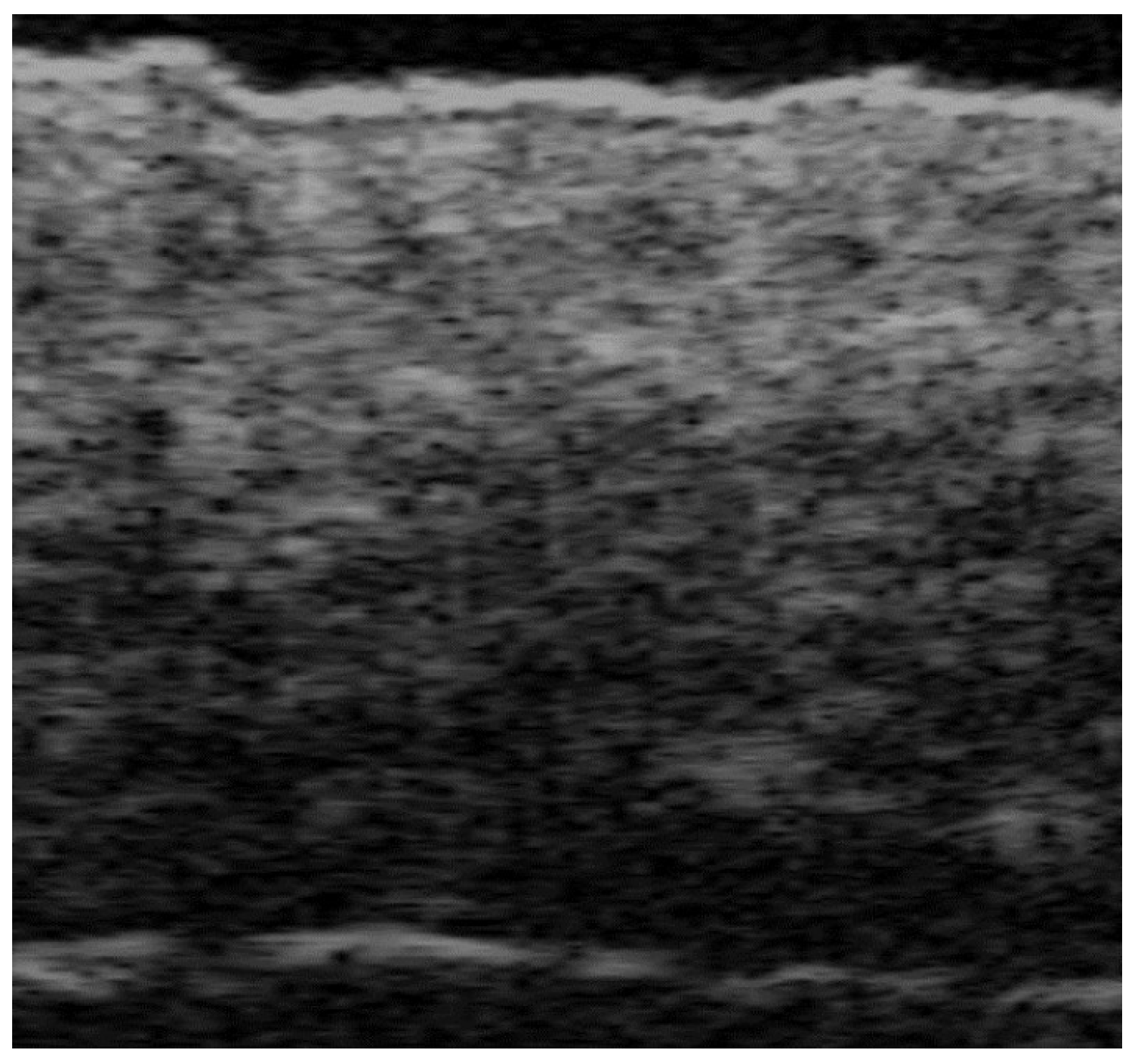 Medicina 61 00220 g017