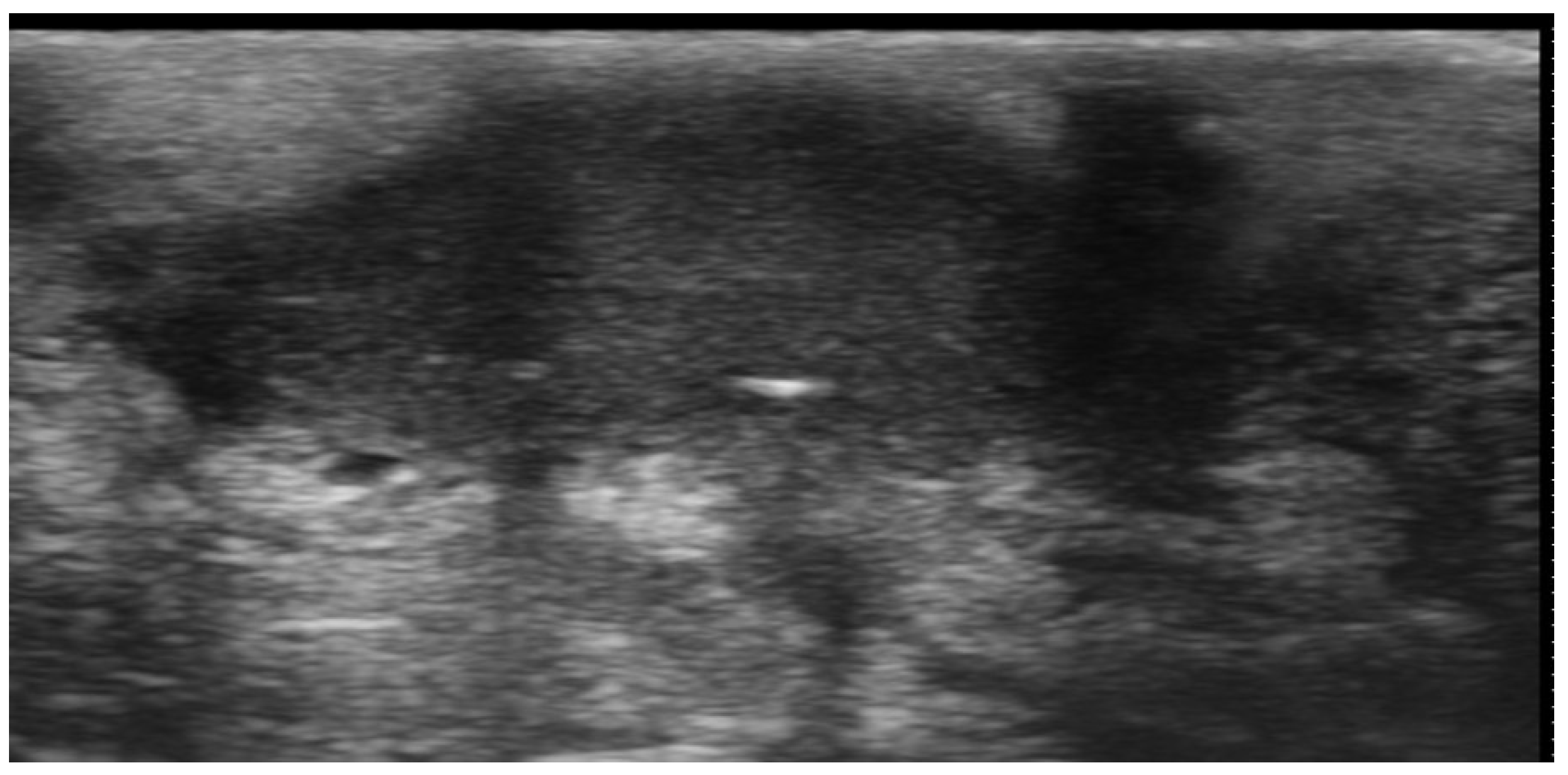 Medicina 61 00220 g020