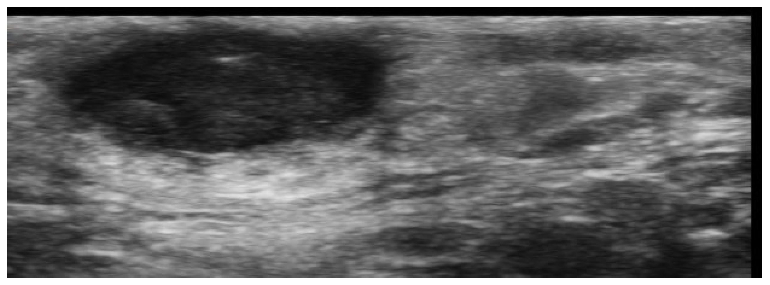 Medicina 61 00220 g022