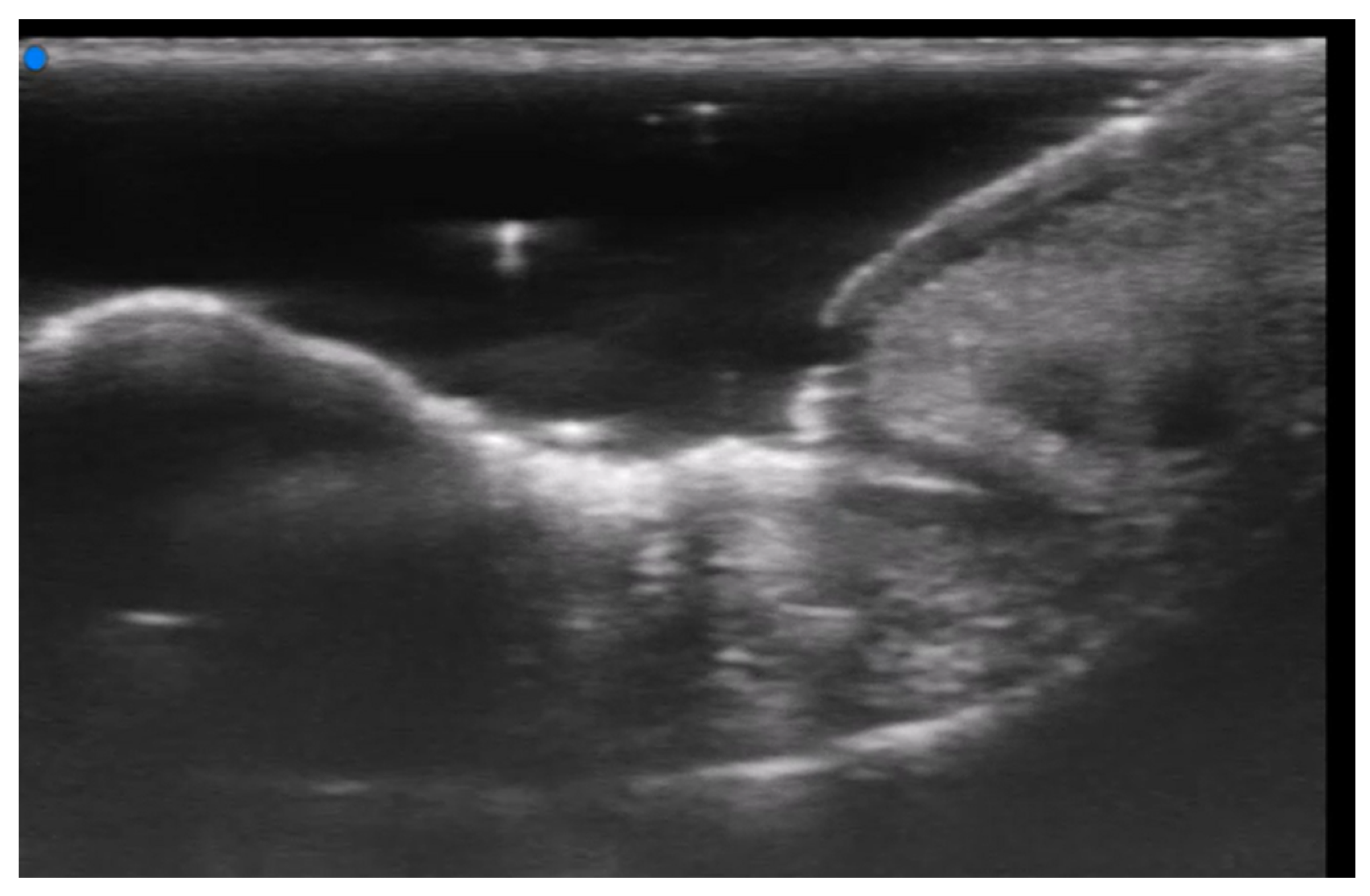 Medicina 61 00220 g024