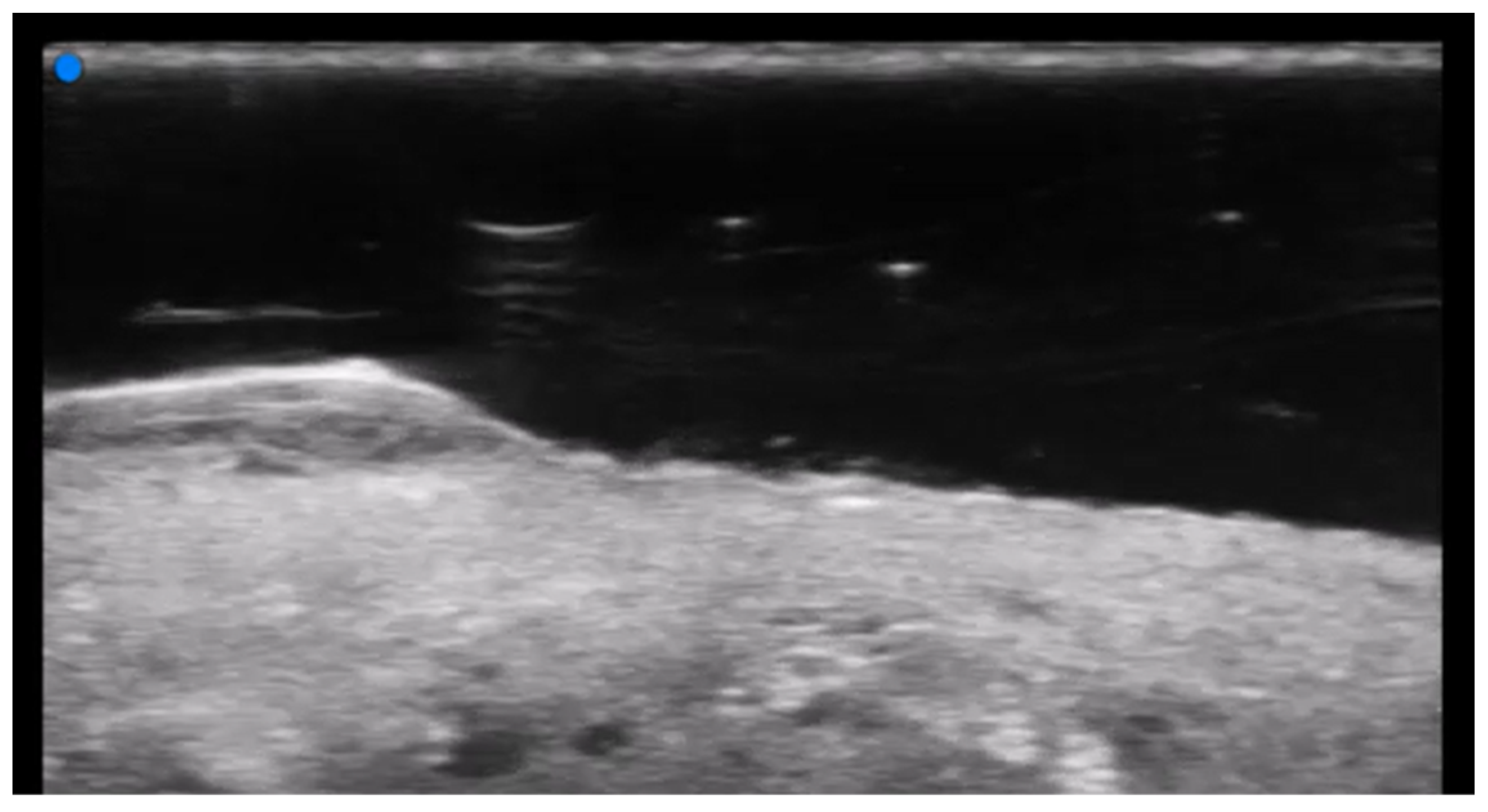 Medicina 61 00220 g029