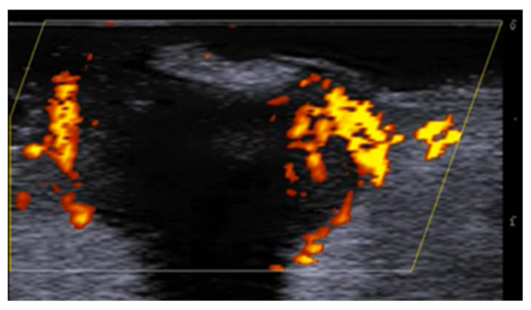 Medicina 61 00220 g033