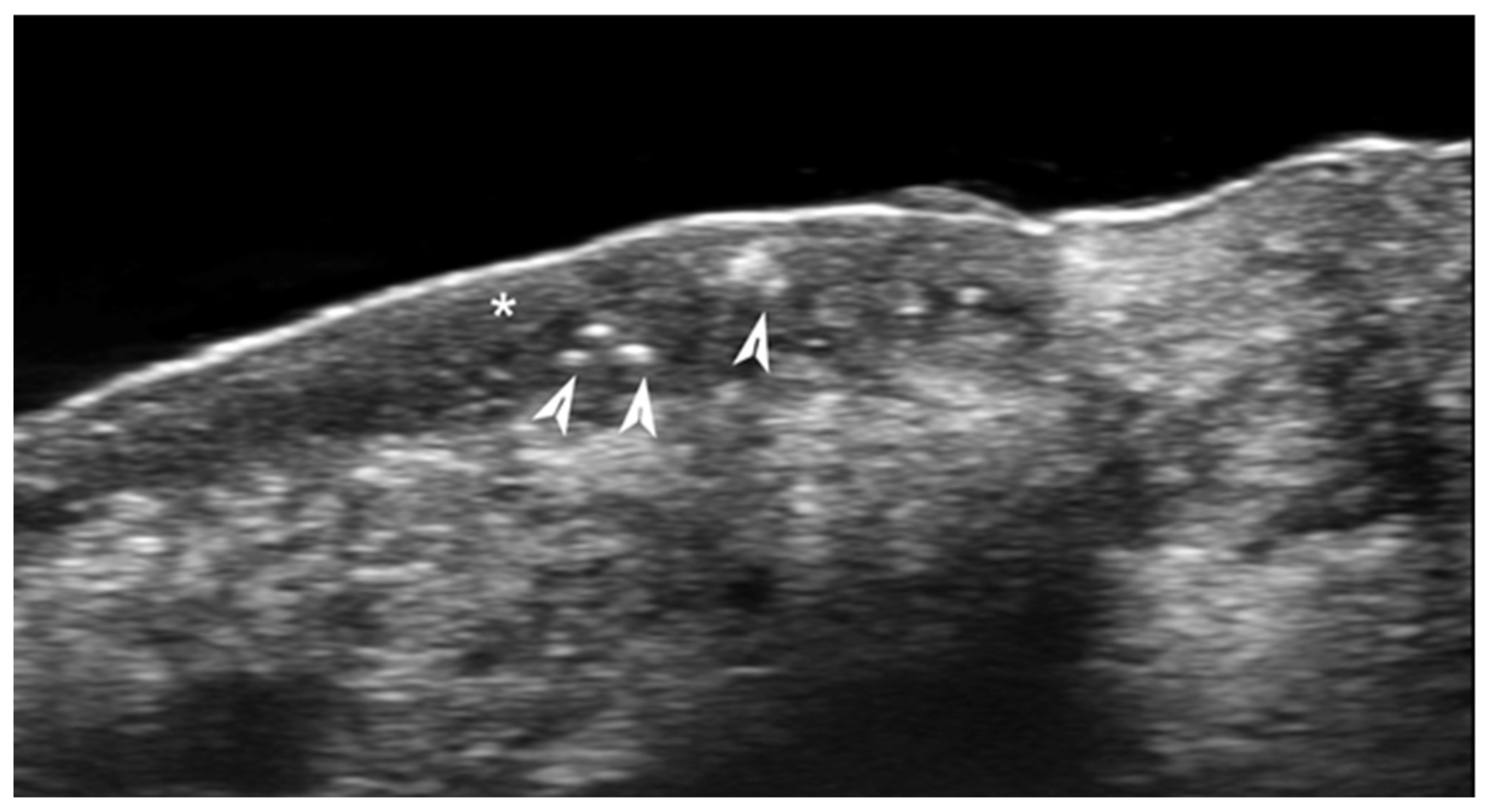 Medicina 61 00220 g034