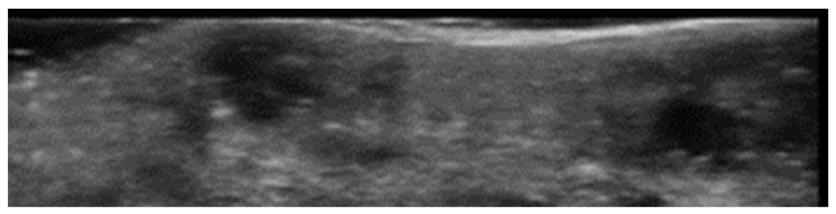 Medicina 61 00220 g038