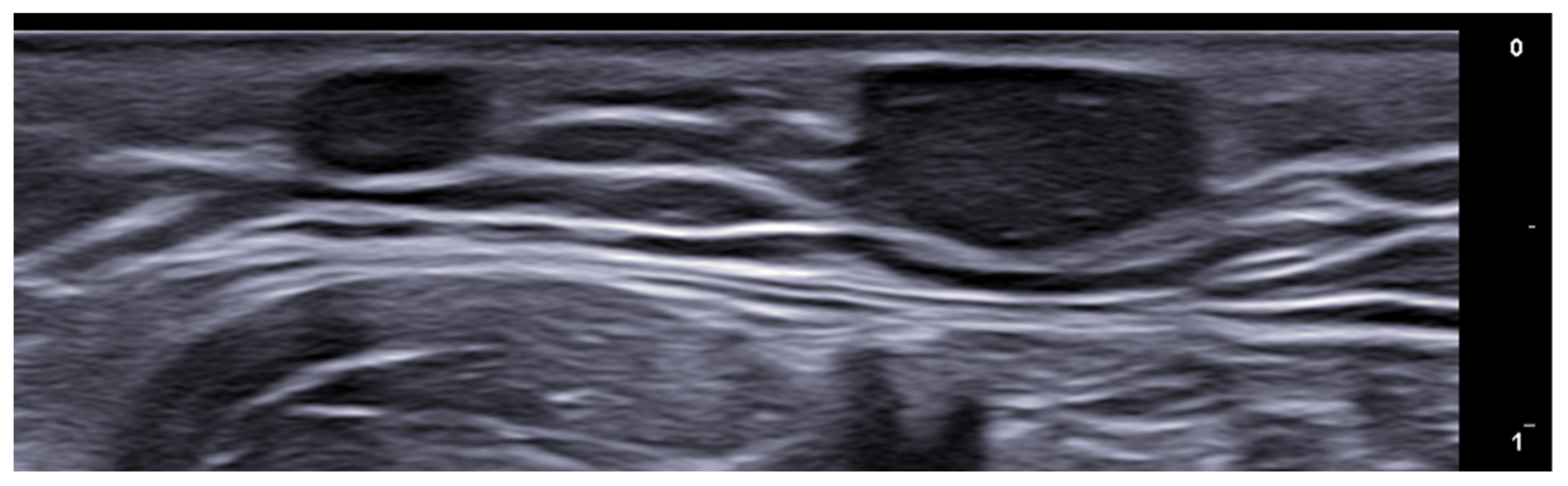 Medicina 61 00220 g040